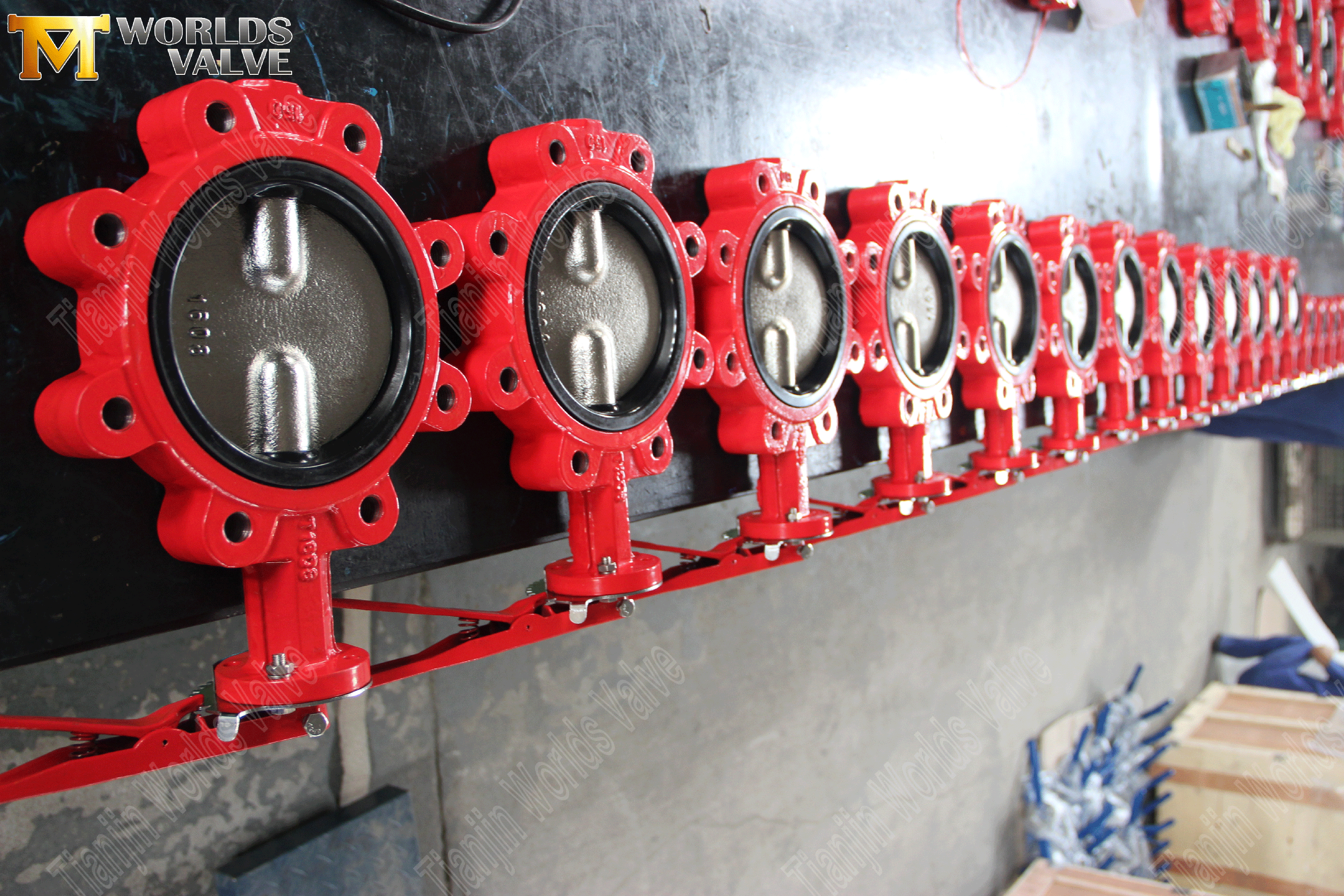 Split-axel Pinless Lug Type Butterfly Valve-2 (1)