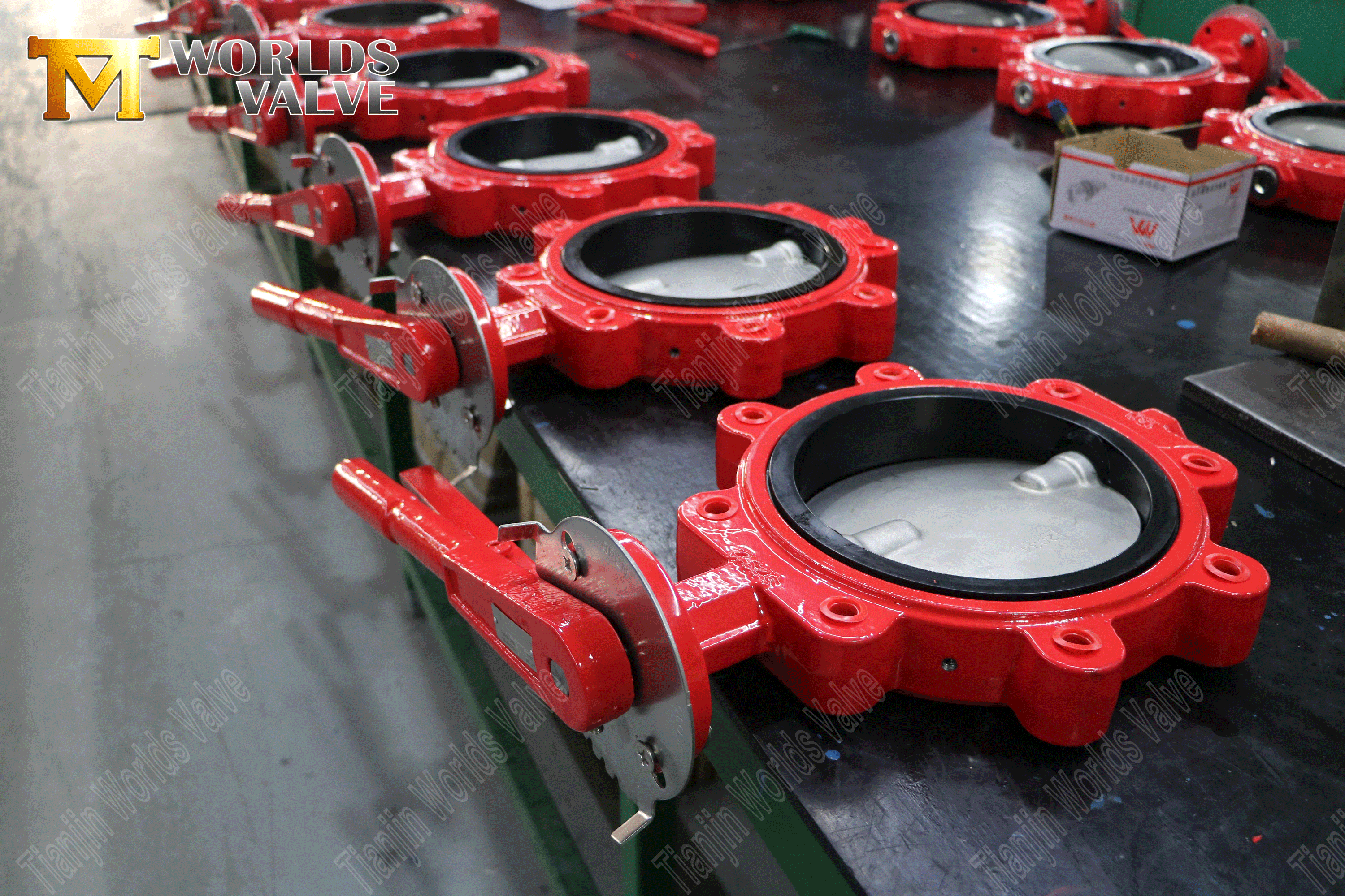 Split-axel Pinless Lug Type Butterfly Valve-2 (3)