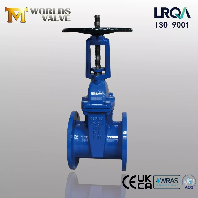 ResilientSeatedGateValve vs metallsittande grindventil — Vad du bör veta?
