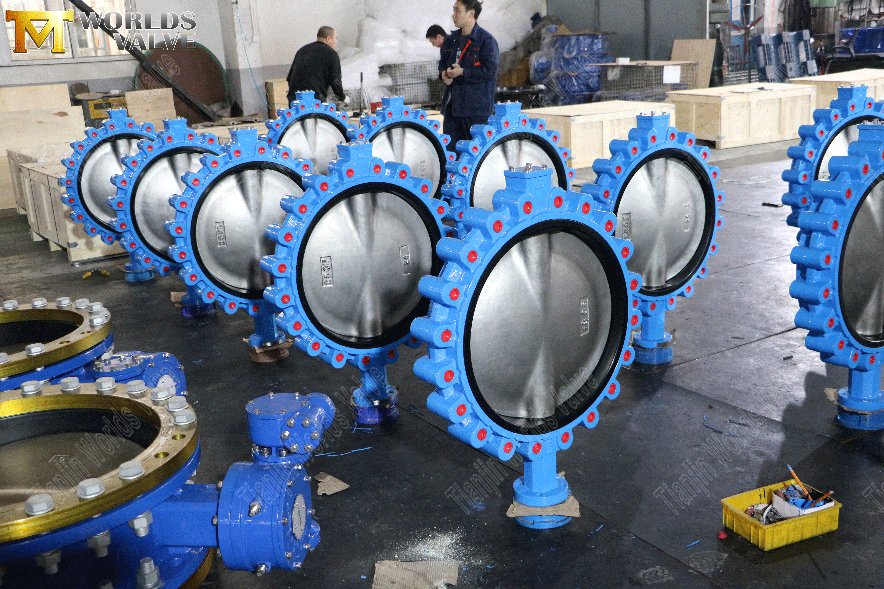 Lug Concentric Butterfly Vavles med Worm Gear Operator (5)