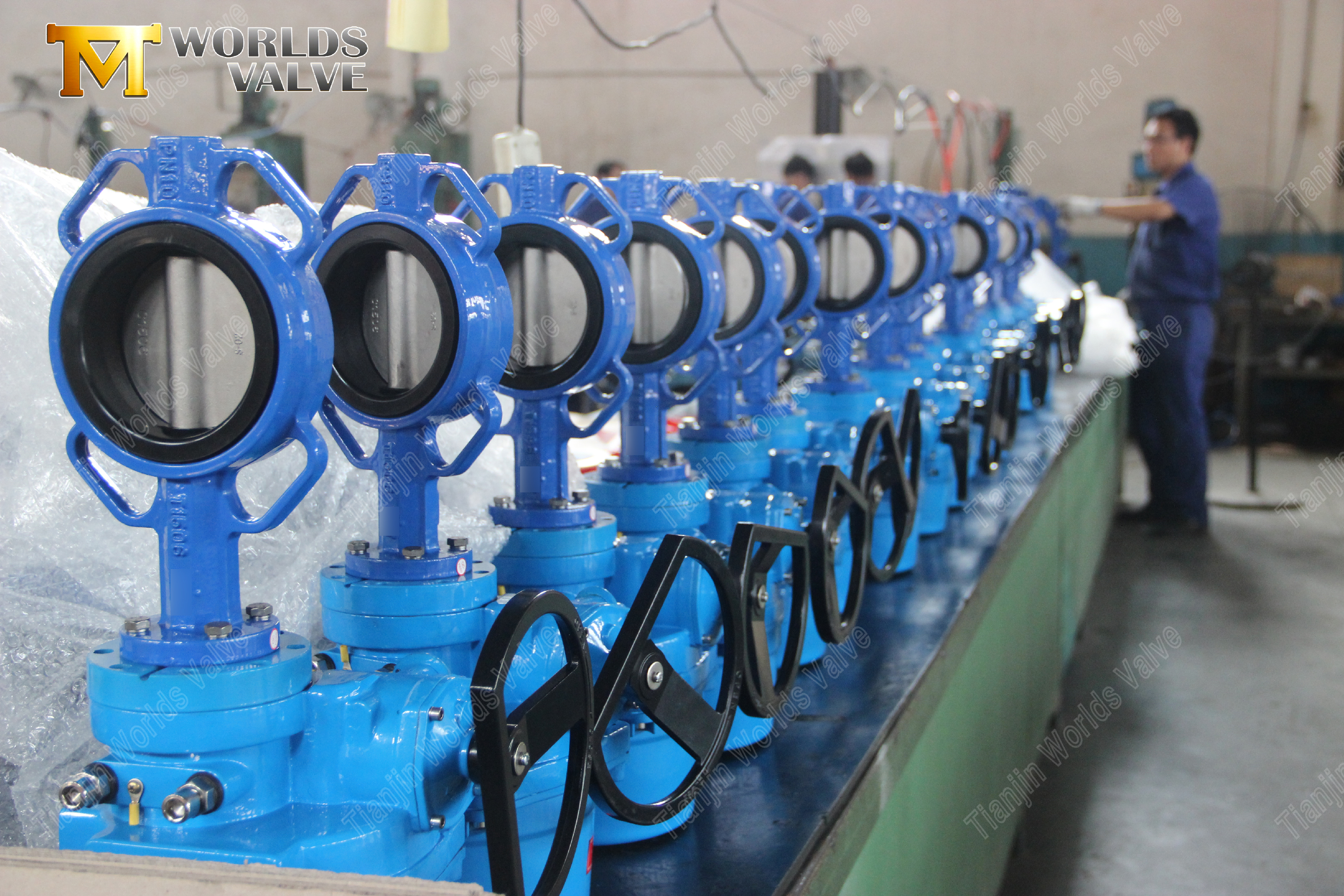 H&aring;rd rygg gummis&auml;te & SS Disc Butterfly Valve-1 (3)