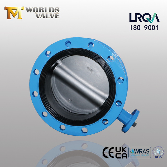 China Butterfly Valve Manufacturer - Ductile Iron Body & Duplex rostfritt stålskiva