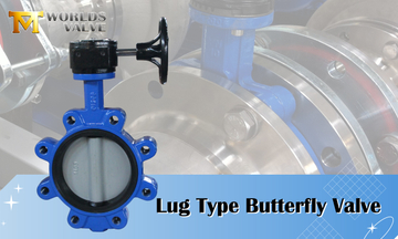Lug Type Butterfly Valve.jpg