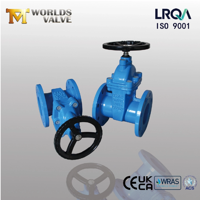 Utforska typerna och specialfunktionerna hos ResilientSeatedGateValves