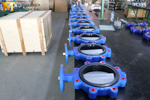 Koncentriska fjärilsventilleverantörer - Lugtyp fjärilsventil med EPDM -säte