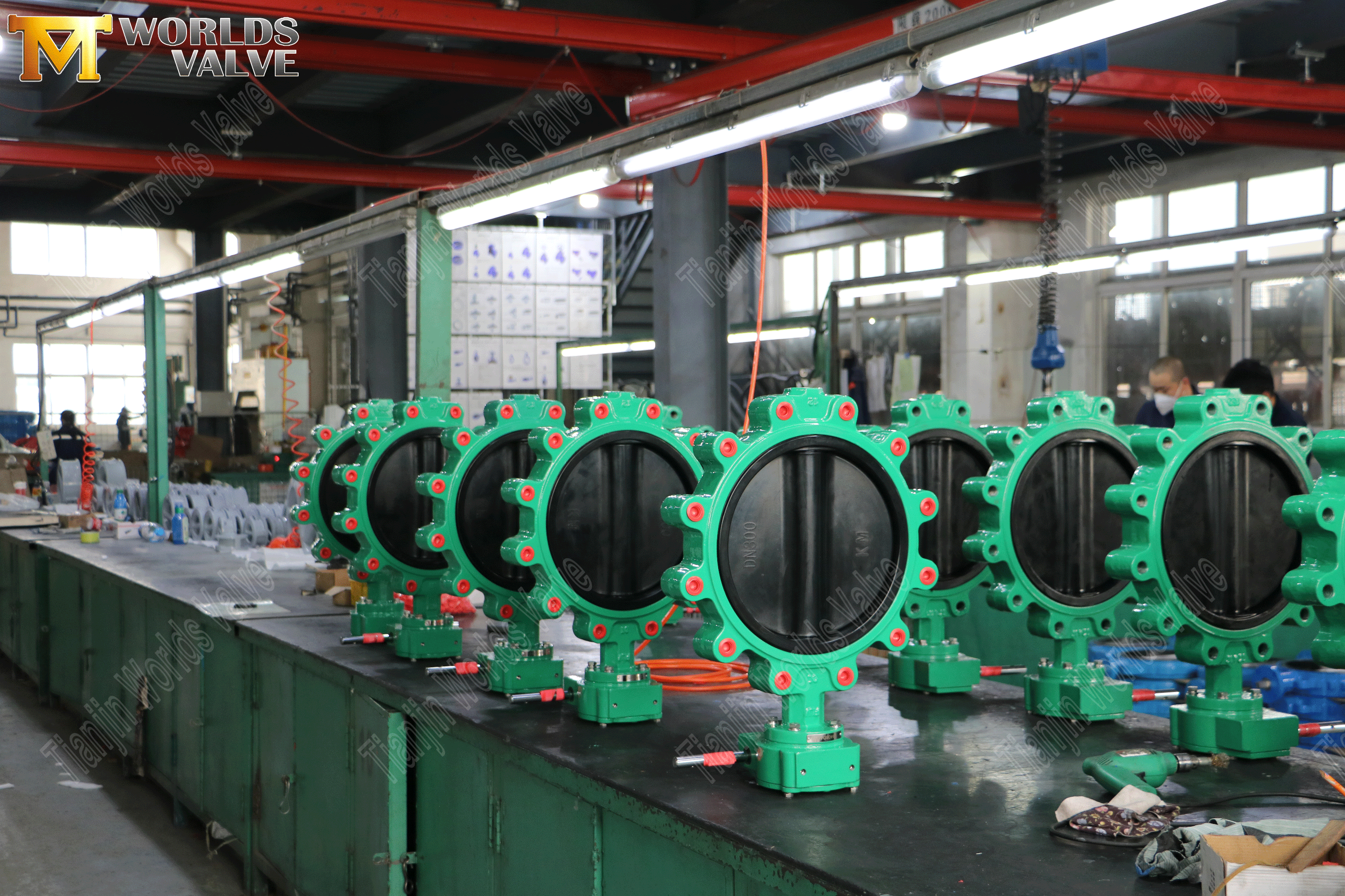 Lug Concentric Butterfly Vavles med Worm Gear Operator (7)