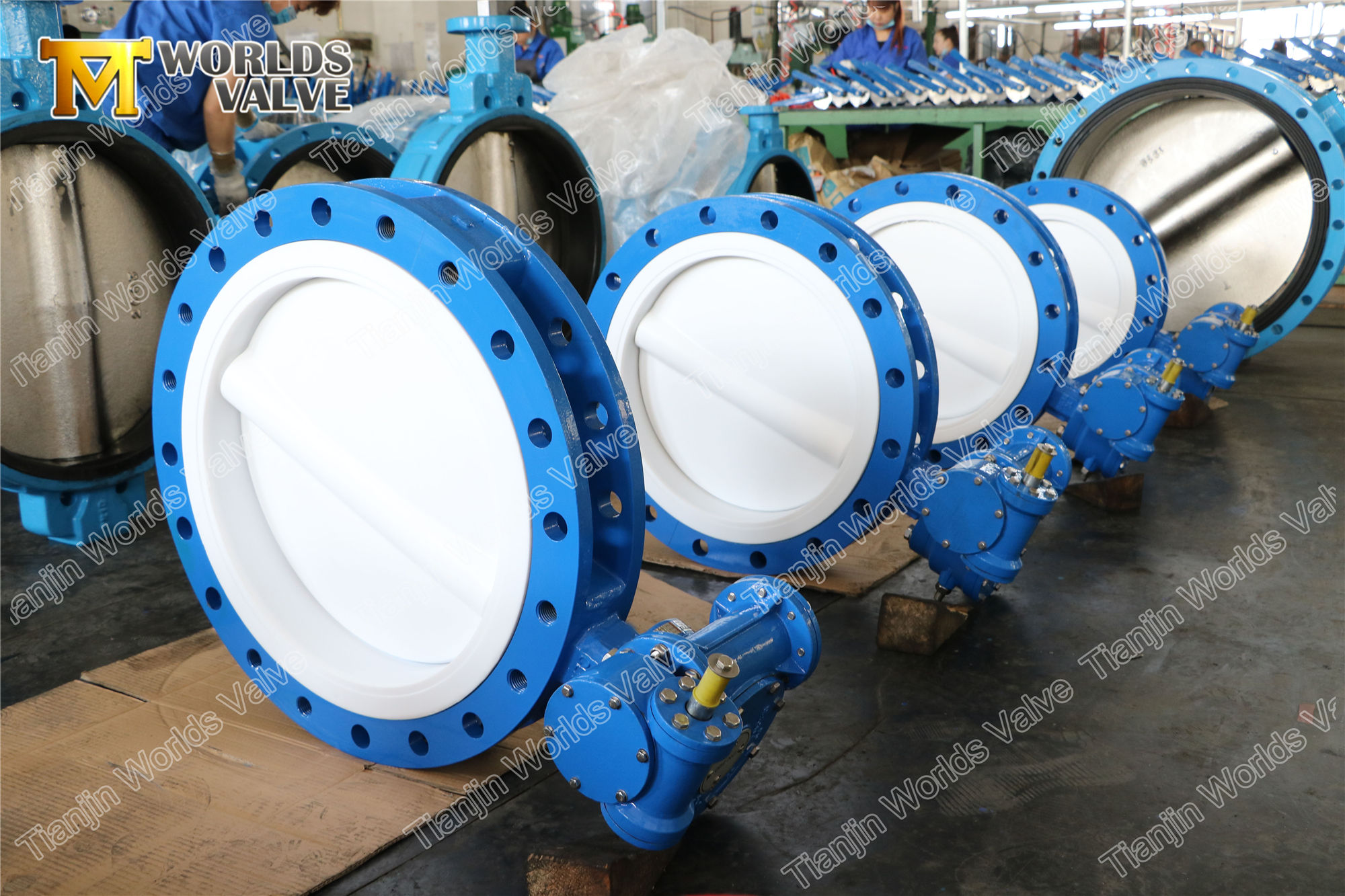 4 A536 A395 Ductile Iron PTFE Butterfly Valve
