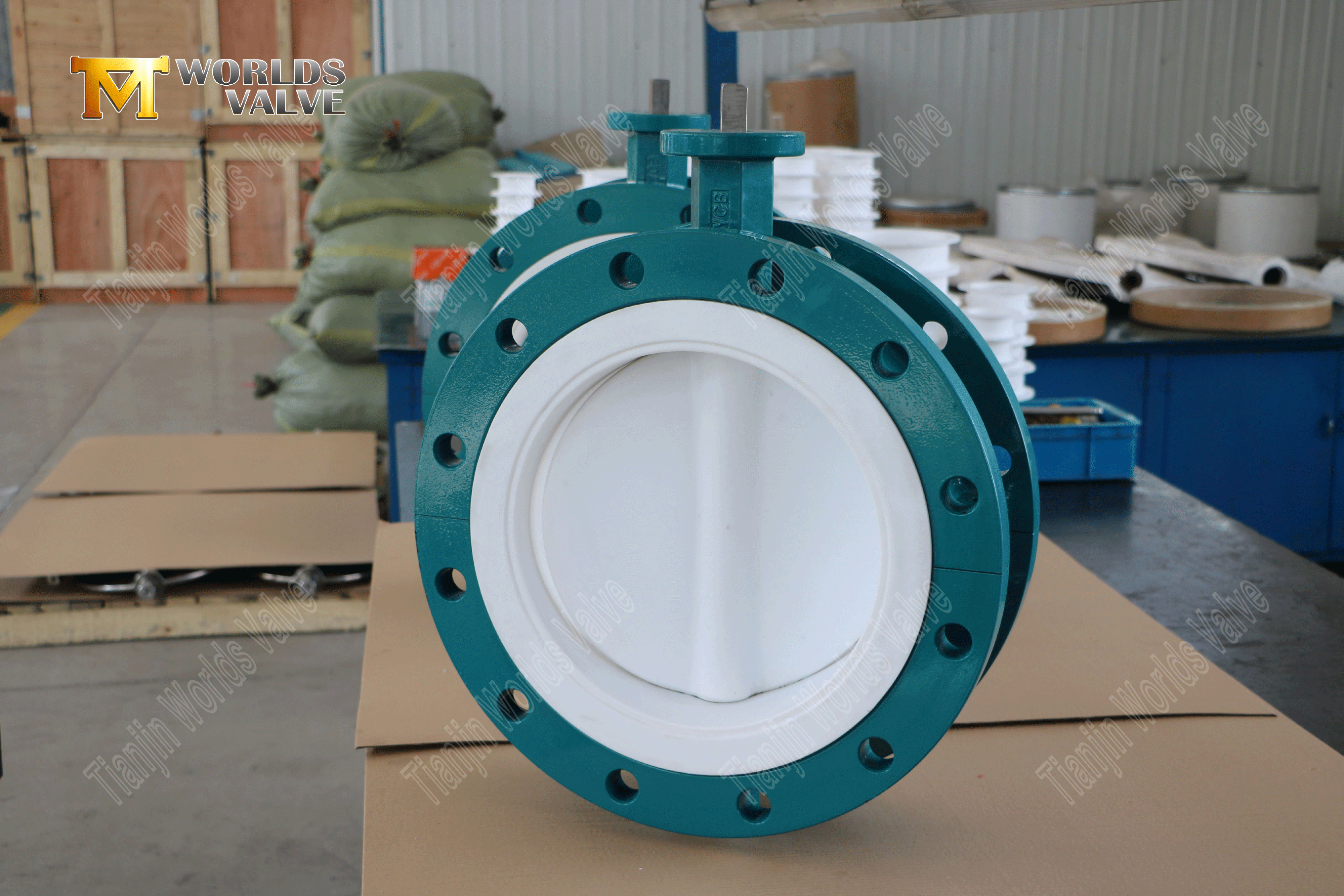 Worm Gear Double Flanged Ptfe Foderfj&auml;rilventiler (8)
