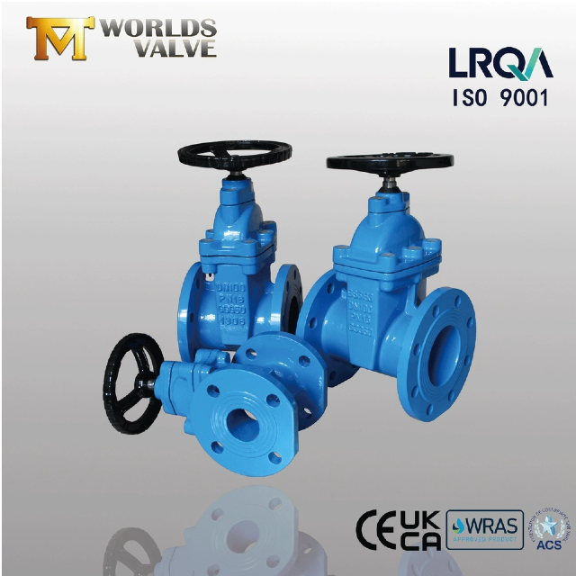 Hur fungerar en ResilientSeatedGateValve egentligen?