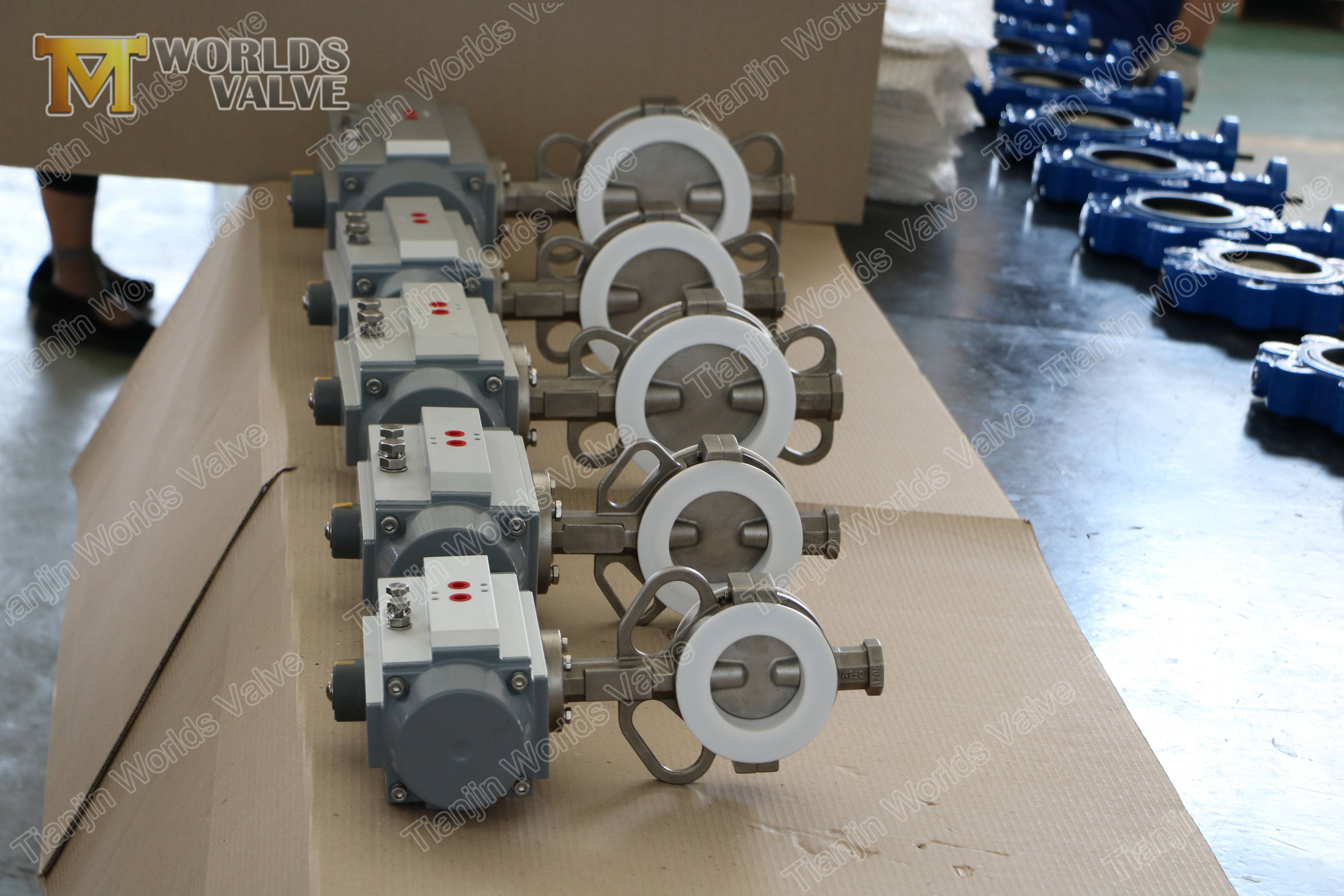 5 Penumatic PTFE Coated Butterfly Valve, Rostfritt St&aring;lskiva
