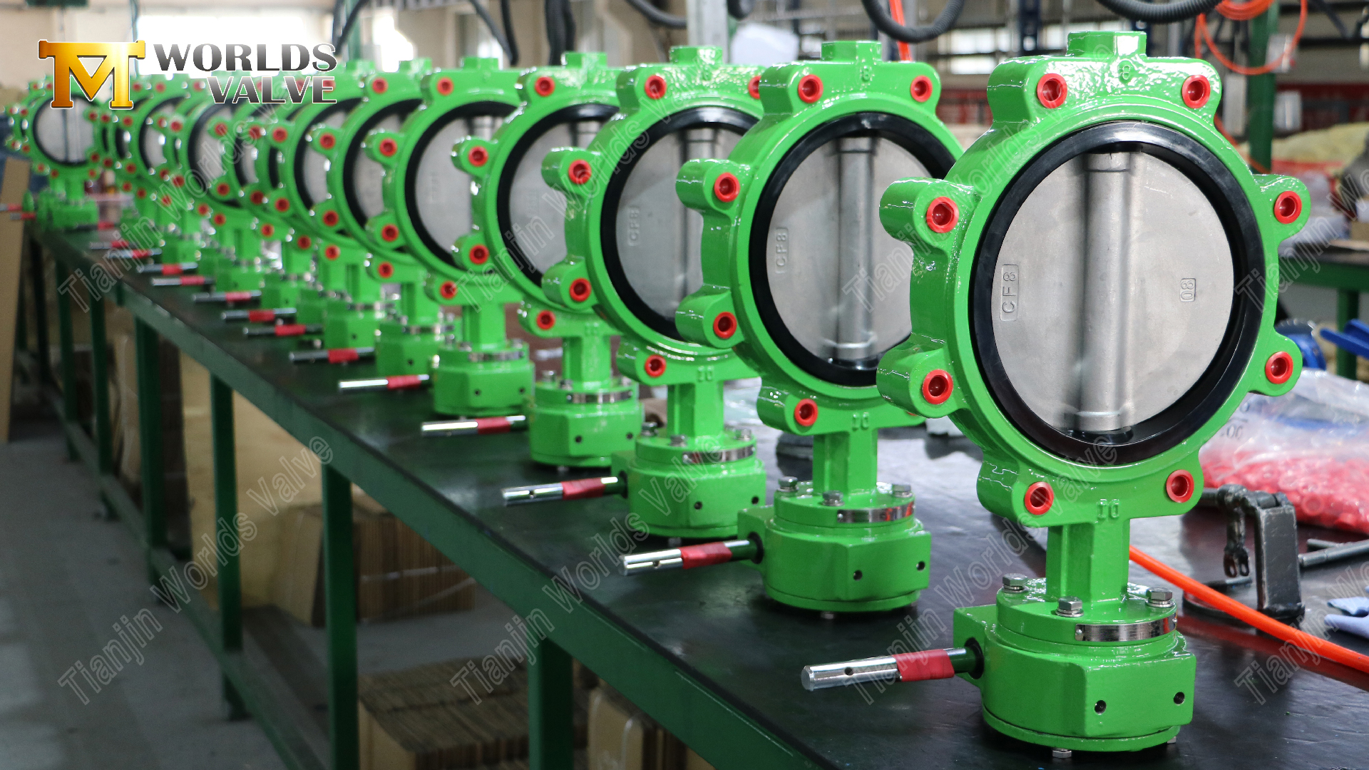 PN16-LUG-Fj&auml;rilsventil-Smidig-j&auml;rnkropp-&-CF8M-skiva-7