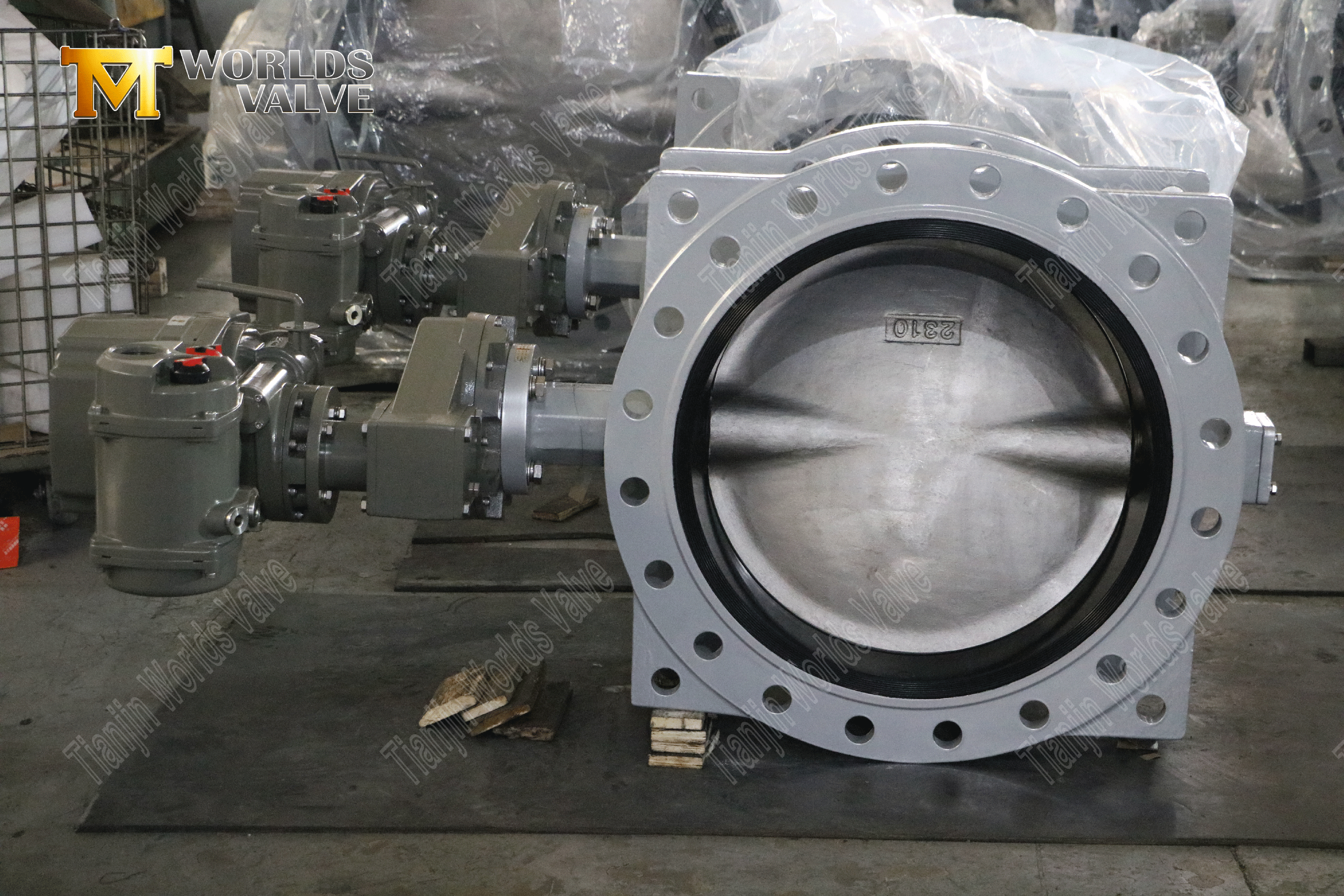 Motoriserade fj&auml;rilsventiler - Dubbel fl&auml;nsad fj&auml;rilsventil med elektrisk st&auml;lldon (2)