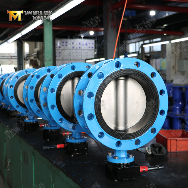 China Butterfly Valve Manufacturer - Ductile Iron Body & Duplex rostfritt stålskiva