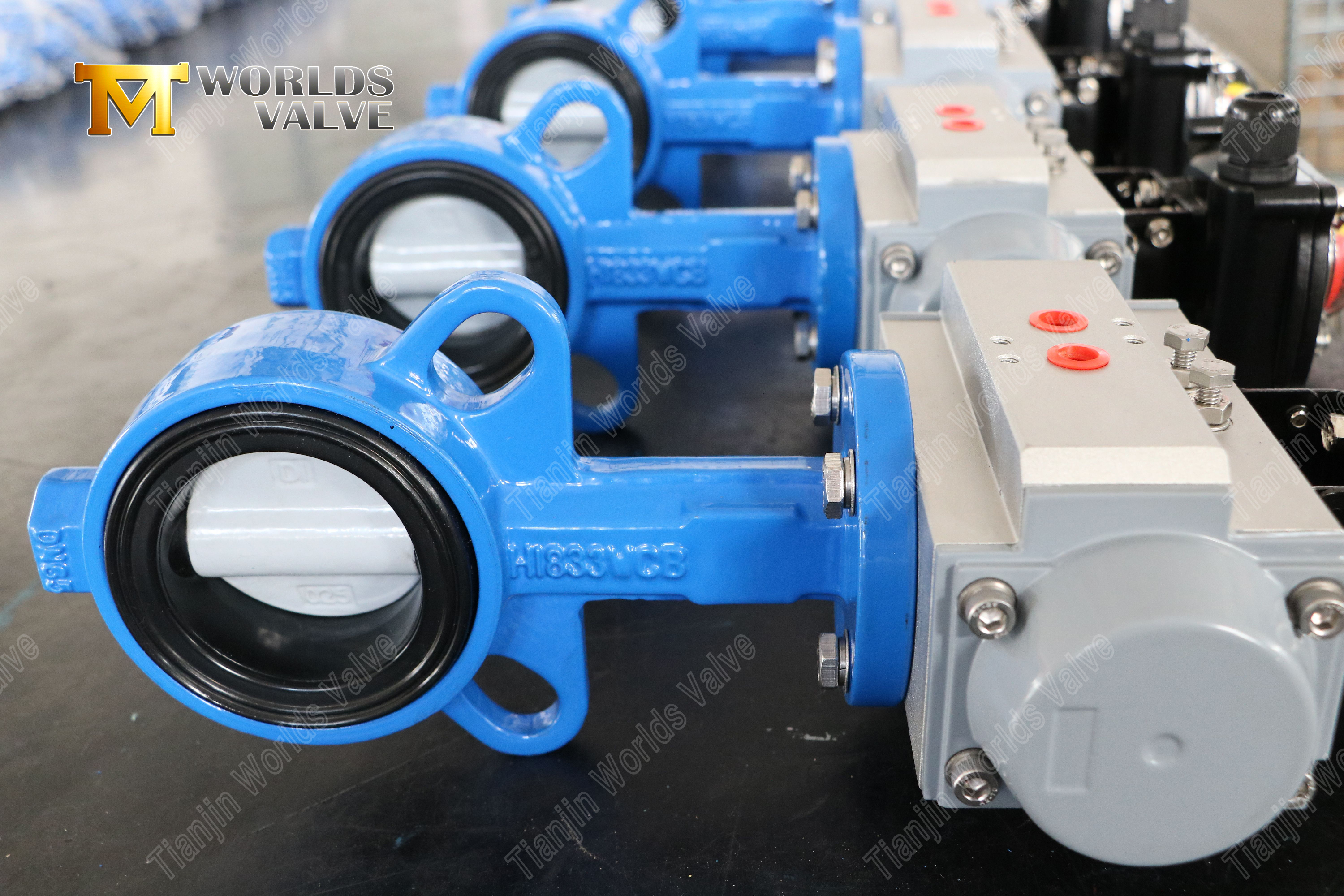 Wafer fj&auml;rilsventil med nylonbelagd skiva & WCB kroppskostnadseffektiv korrosionsbest&auml;ndighet-1 (3)