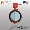 Wafer fjärilsventil med nylonbelagd skiva & WCB -kropp | Kostnadseffektiv korrosionsmotstånd