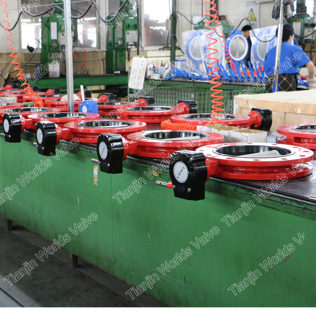 Koncentrisk linje Vulkaniserad bunden sitsfjärilventil FBE dubbelfläns U-sektionen