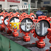 Nylon11 Coated Disc Lug Type Butterfly Valve