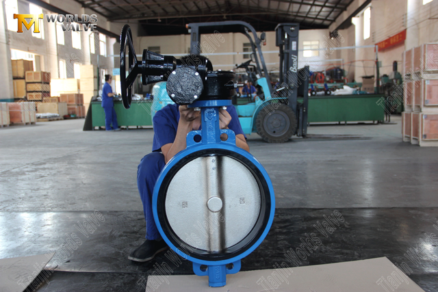 Maskväxelstyrd skiva av skivventiler med gummifodrad