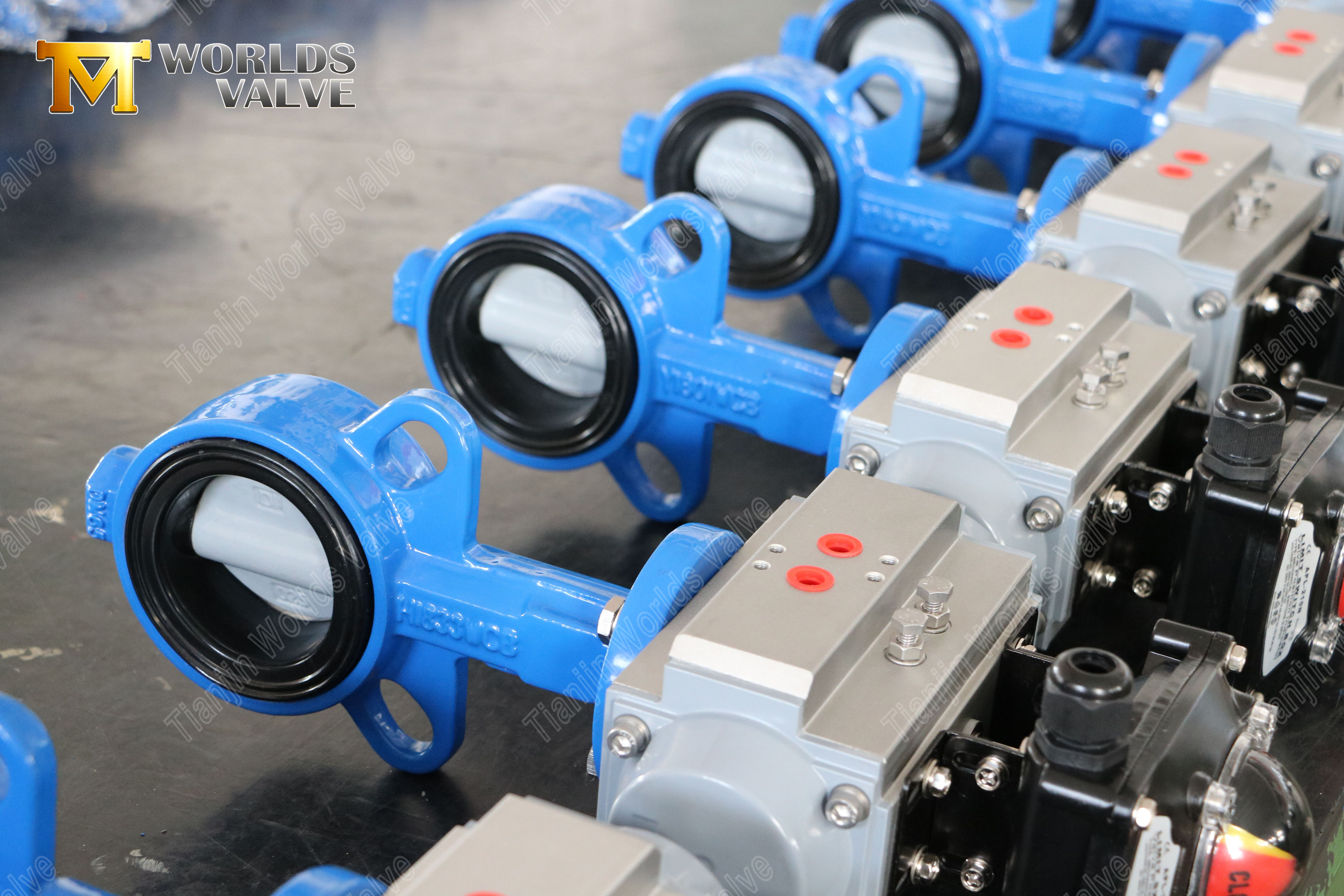 Wafer fj&auml;rilsventil med nylonbelagd skiva & WCB kroppskostnadseffektiv korrosionsbest&auml;ndighet-1 (2)