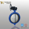 DN600-DN2000 Concentric Single Flange Wafer Type Butterfly Valve API609