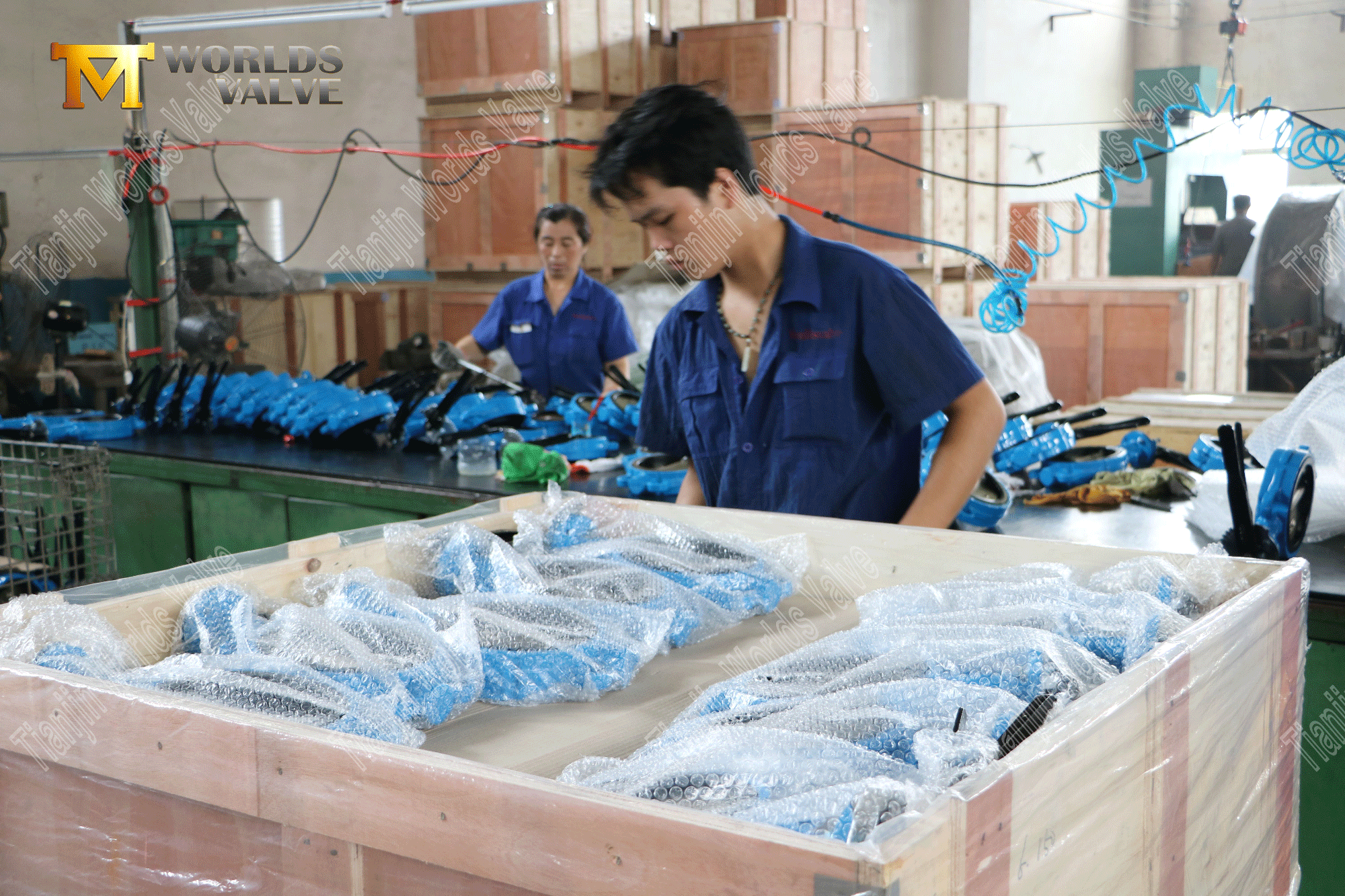 China Valve Manufacturer - Cast Iron Wafer Type Butterfly Valve (8)