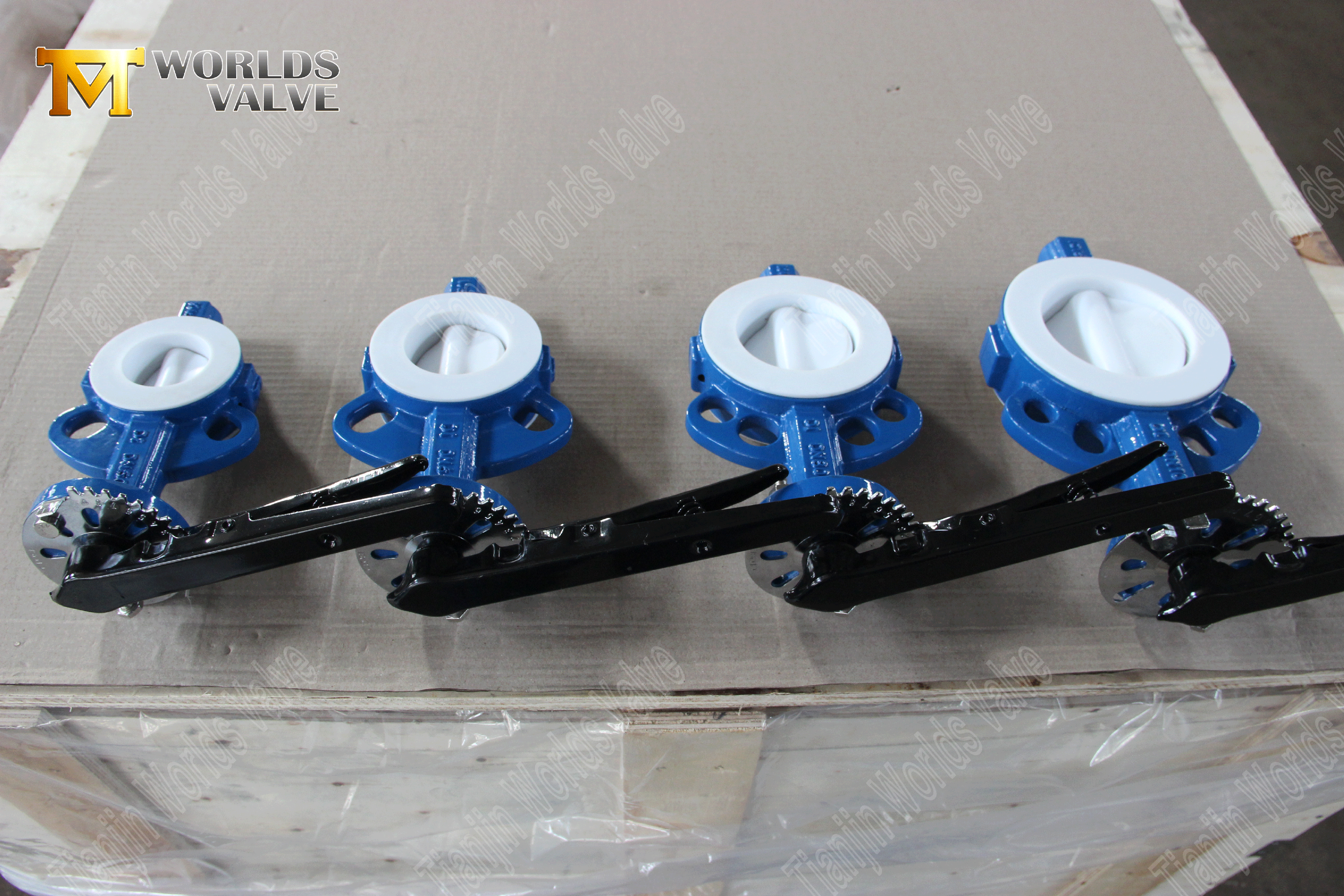 PTFE-fodrad-Butterfly-Vaves-Wafer-Type-Butterfly-Valve-Factory-From-China- (7)