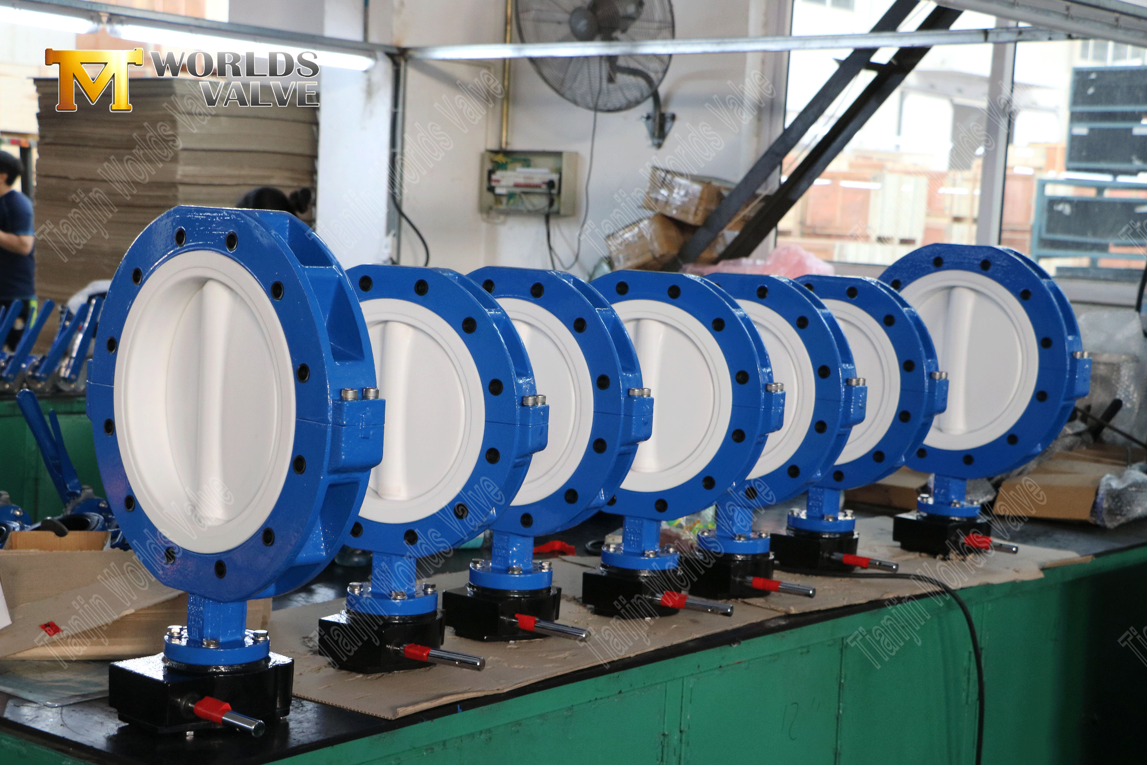 Butterfly Valve Manufacturer-Ptfe Fullfodrad LUG-typ Butterfly Valve (8)