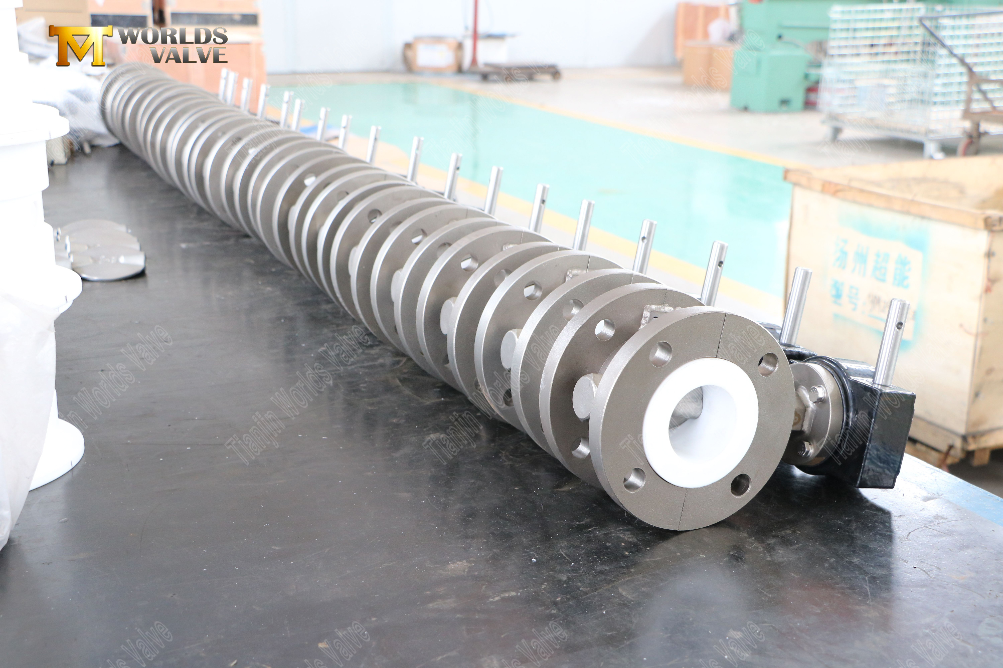 PTFE -s&auml;te och rostfritt st&aring;l skivor fl&auml;nsade fj&auml;rilsventiler (10)