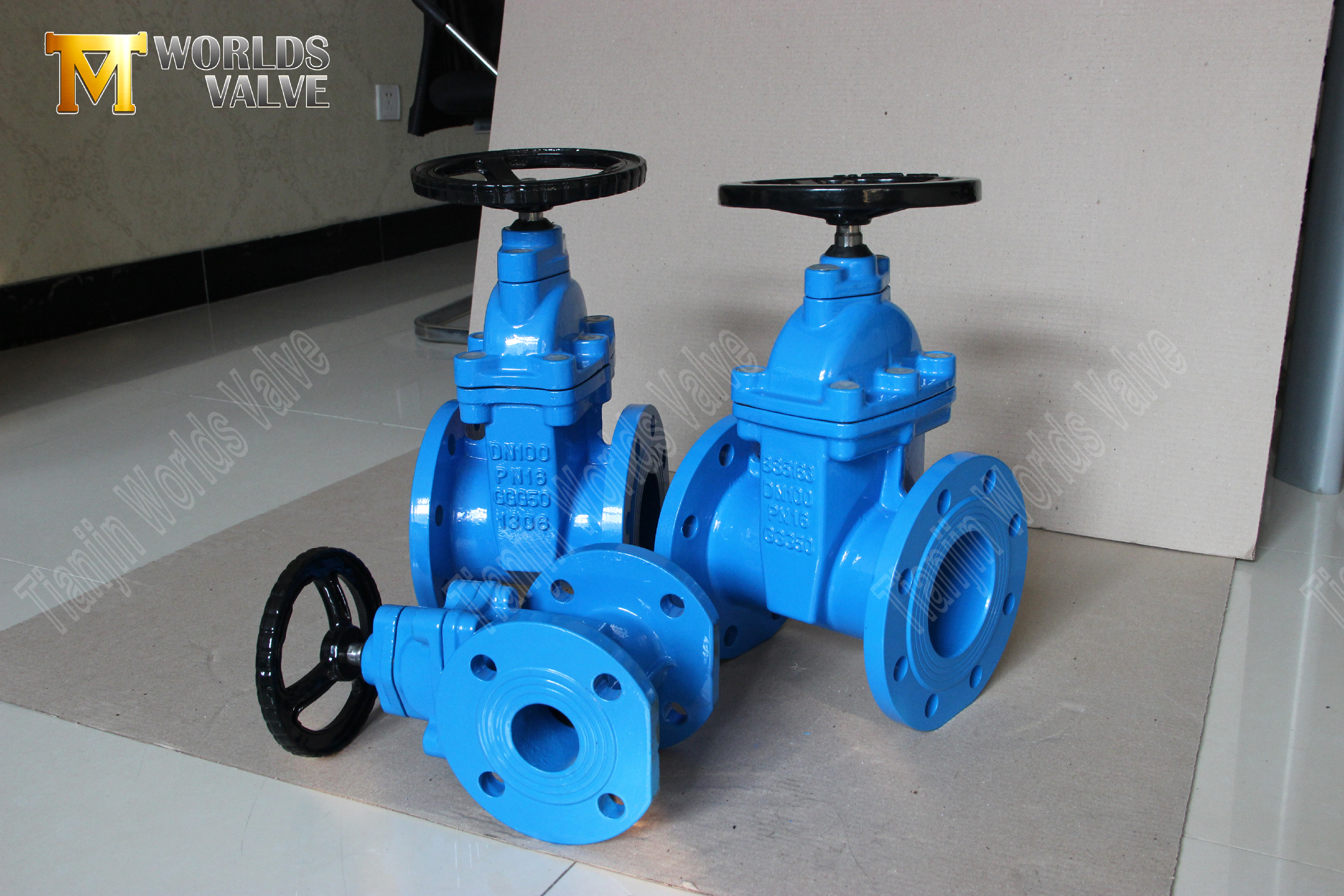 Fjektiv Seat Gate Valve BS5163 Standard