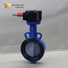 Wafer fjärilsventil med nylonbelagd skiva & WCB -kropp | Kostnadseffektiv korrosionsmotstånd