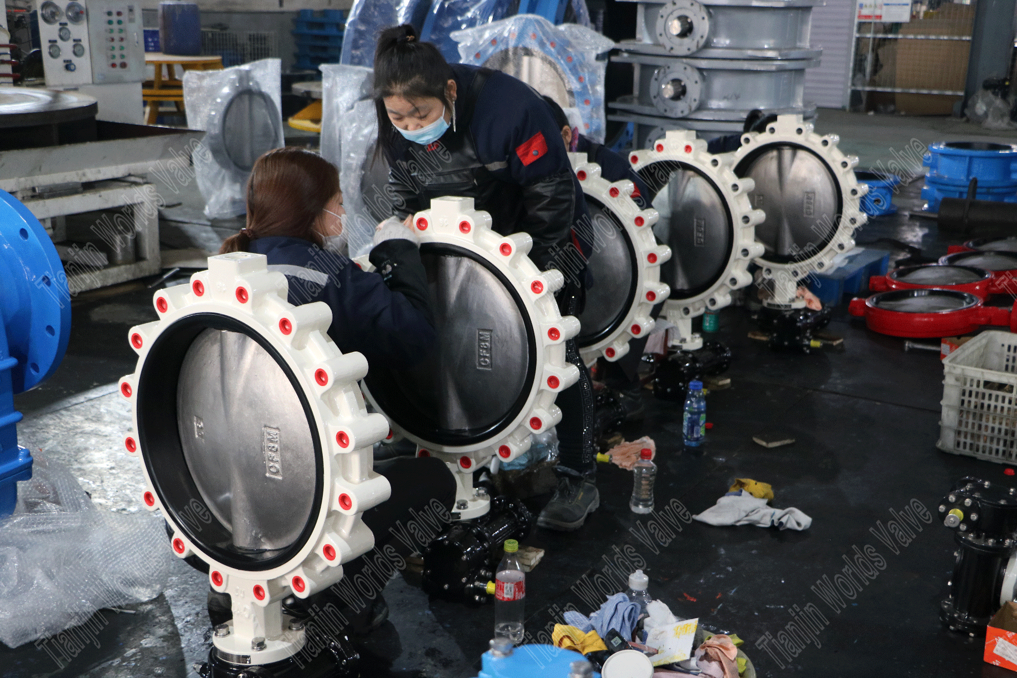 St&auml;dning och inspektion