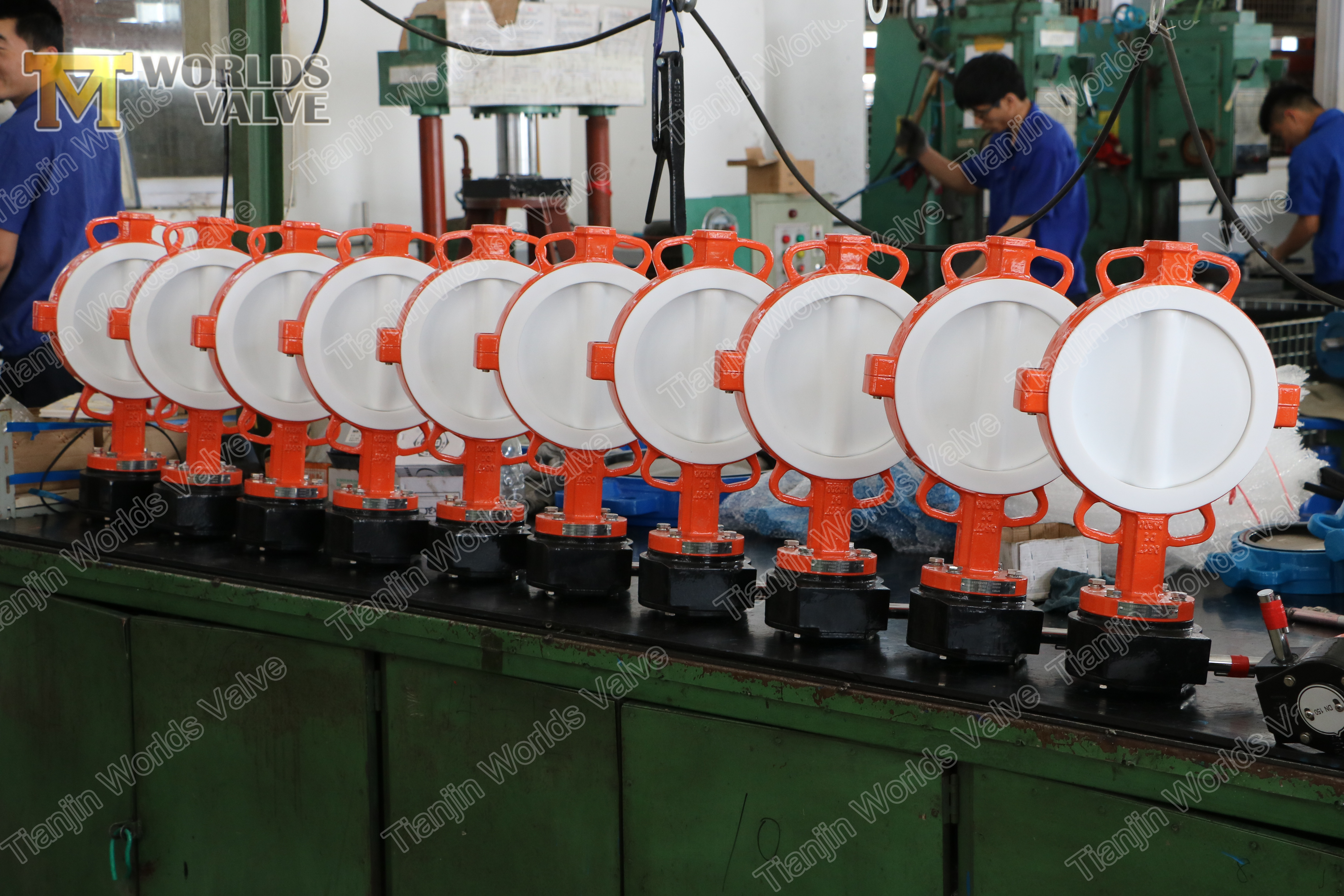 Split body wafer type fj&auml;rilsventil med PTFE-fodrad skiva och s&auml;te levererad av China OEM Valve Manufacturer-Tianjin Worlds Valve Co., Ltd