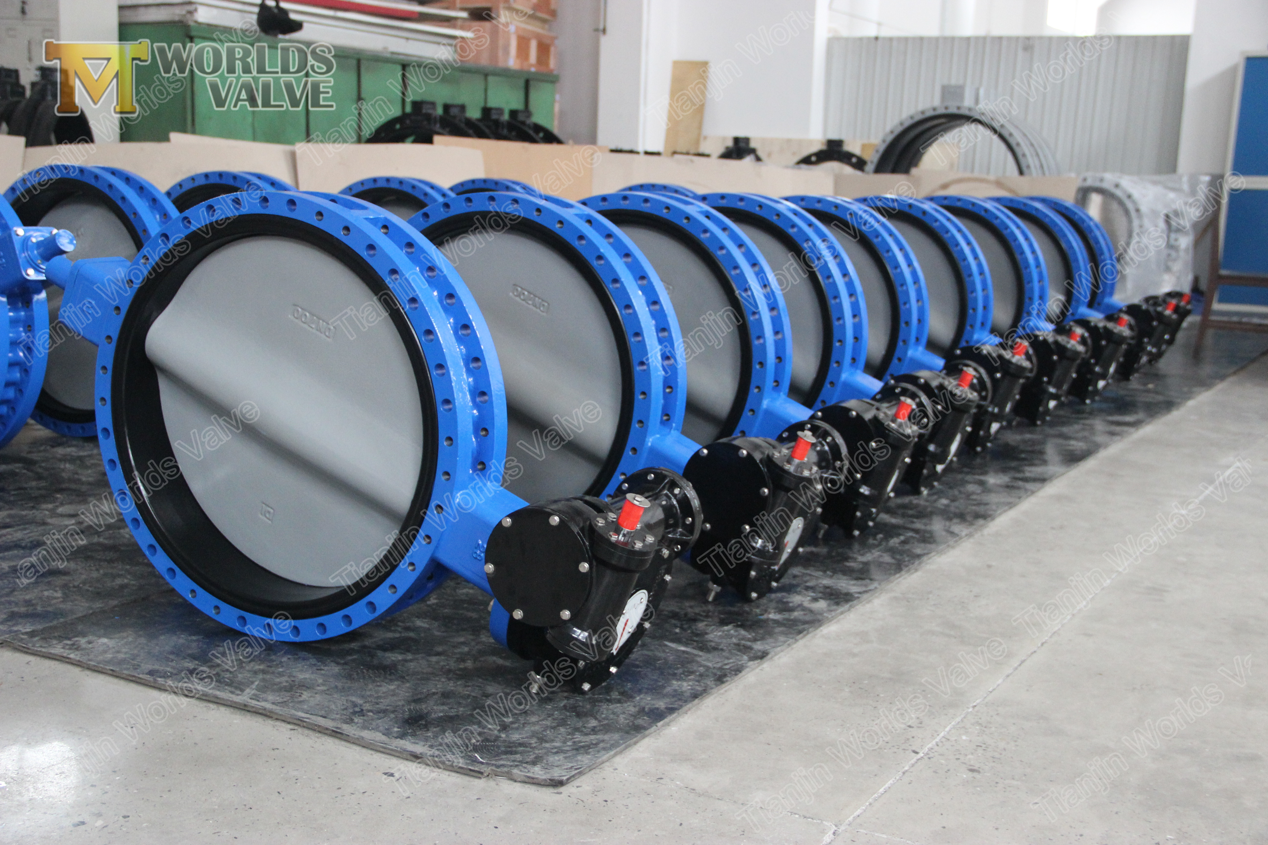 5 dubbelfl&auml;nsfj&auml;rilventil Cartrige API609 klass 150 pn10 pn16