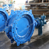 Double Offset Flanged Gummi Butterfly Valve EN558 Series14