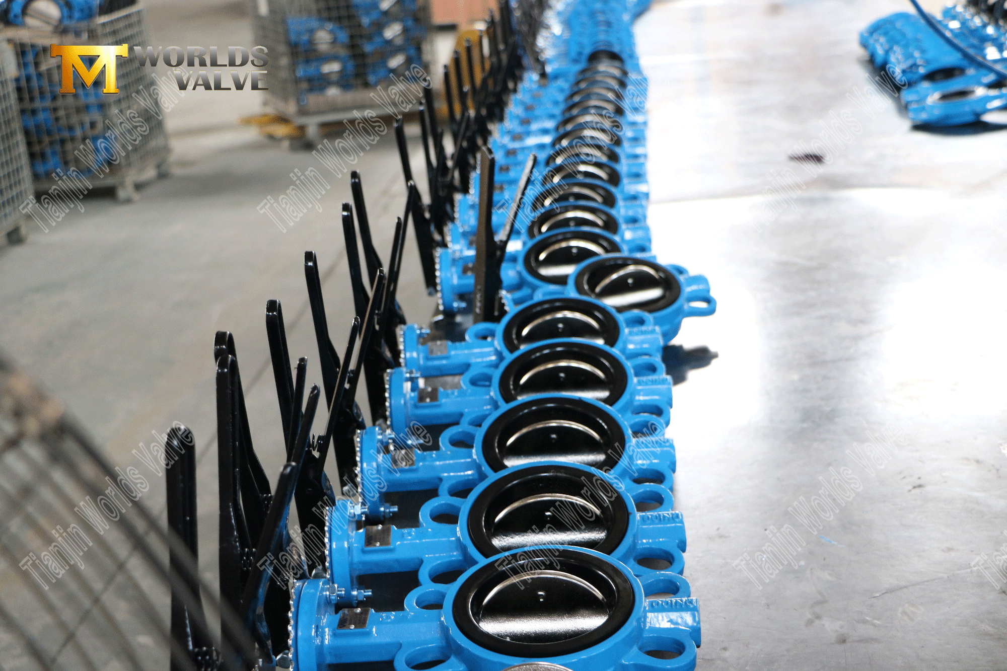 China Valve Manufacturer - Cast Iron Wafer Type Butterfly Valve (2)