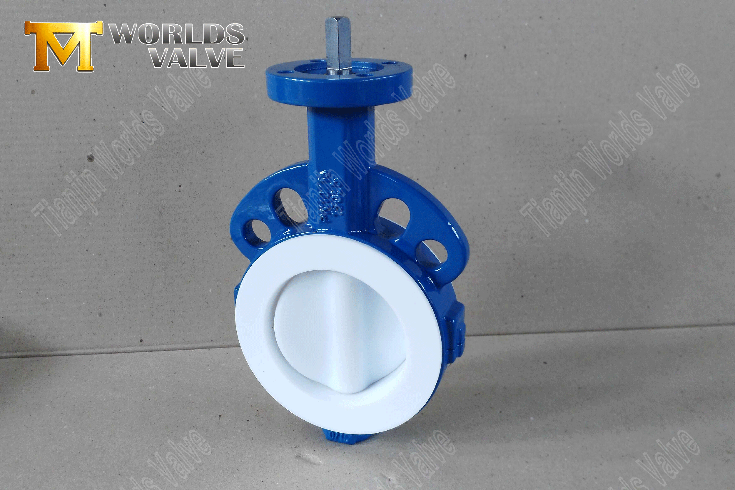 Ptfe-fodrad-butterfly-valve2