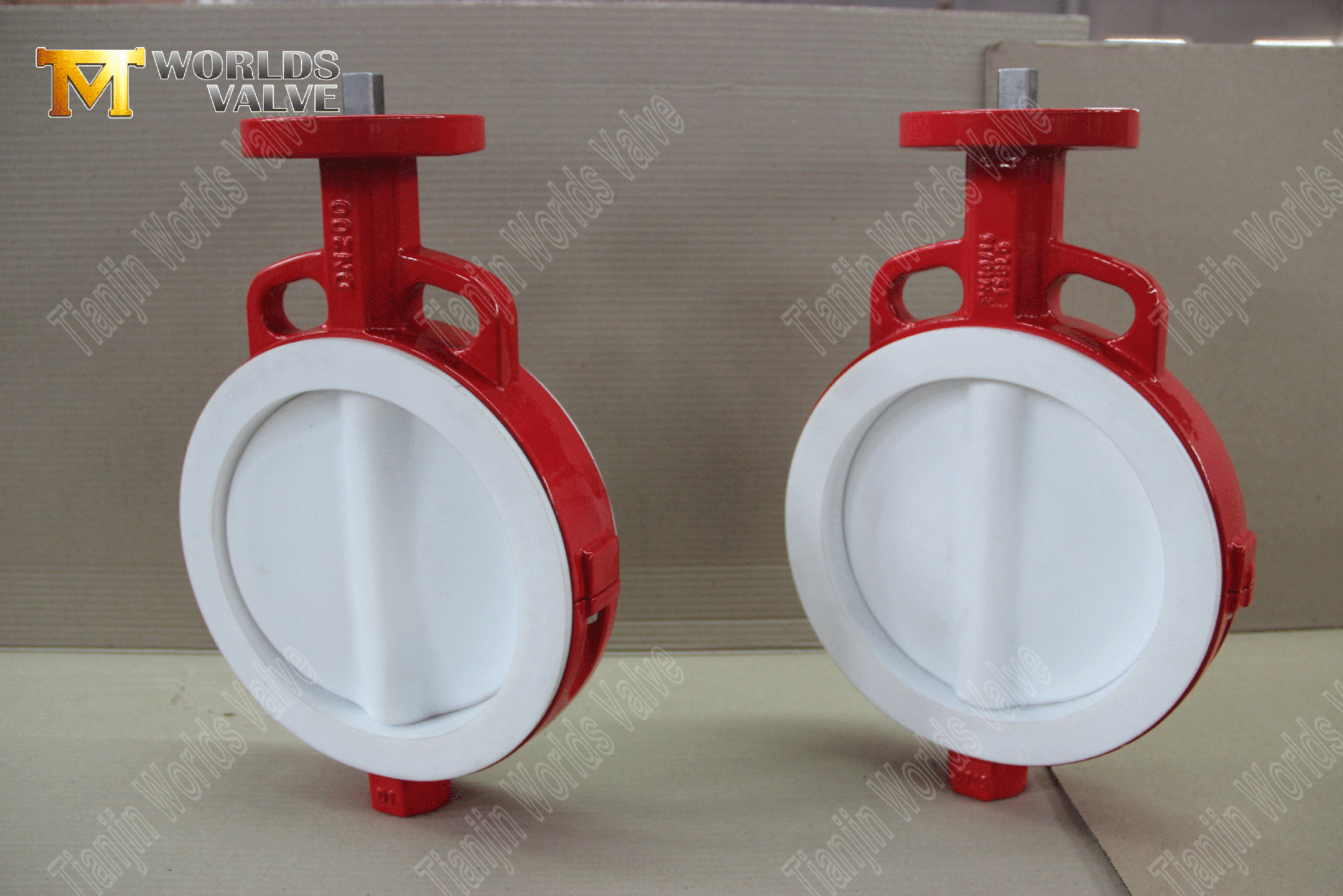 PTFE-FUNGUED-fodrad-Wer-Butterfly-Valve- (4)