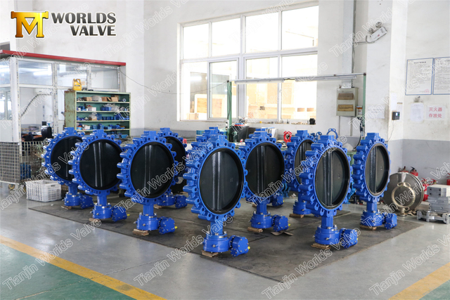 Full lugged Halar Coating skivspjärilsventil med dubbelverkande pneumatiskt ställdon