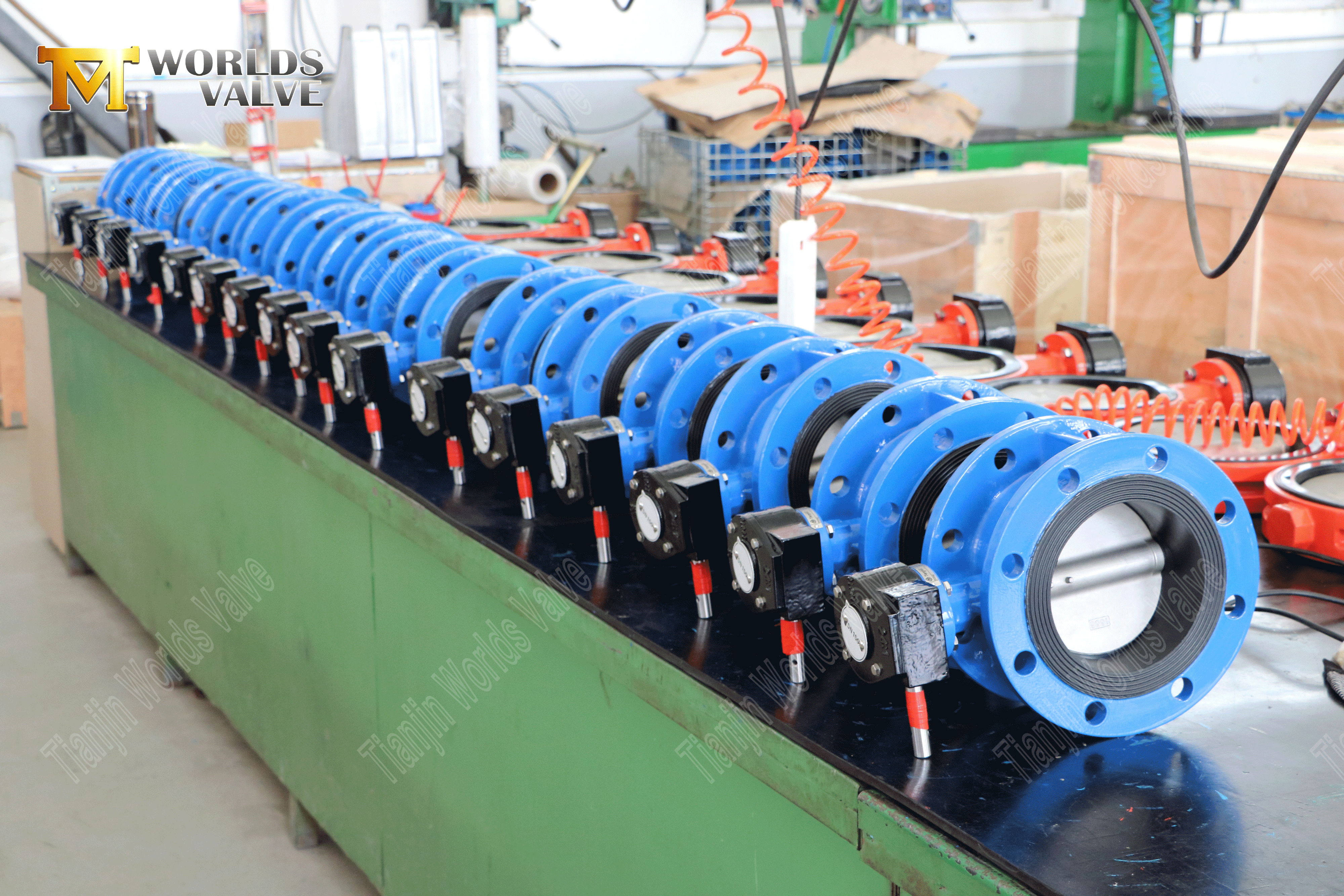 Dubbel fl&auml;nsad fj&auml;rilsventil med full SS-kropp & skiva-2 (2)