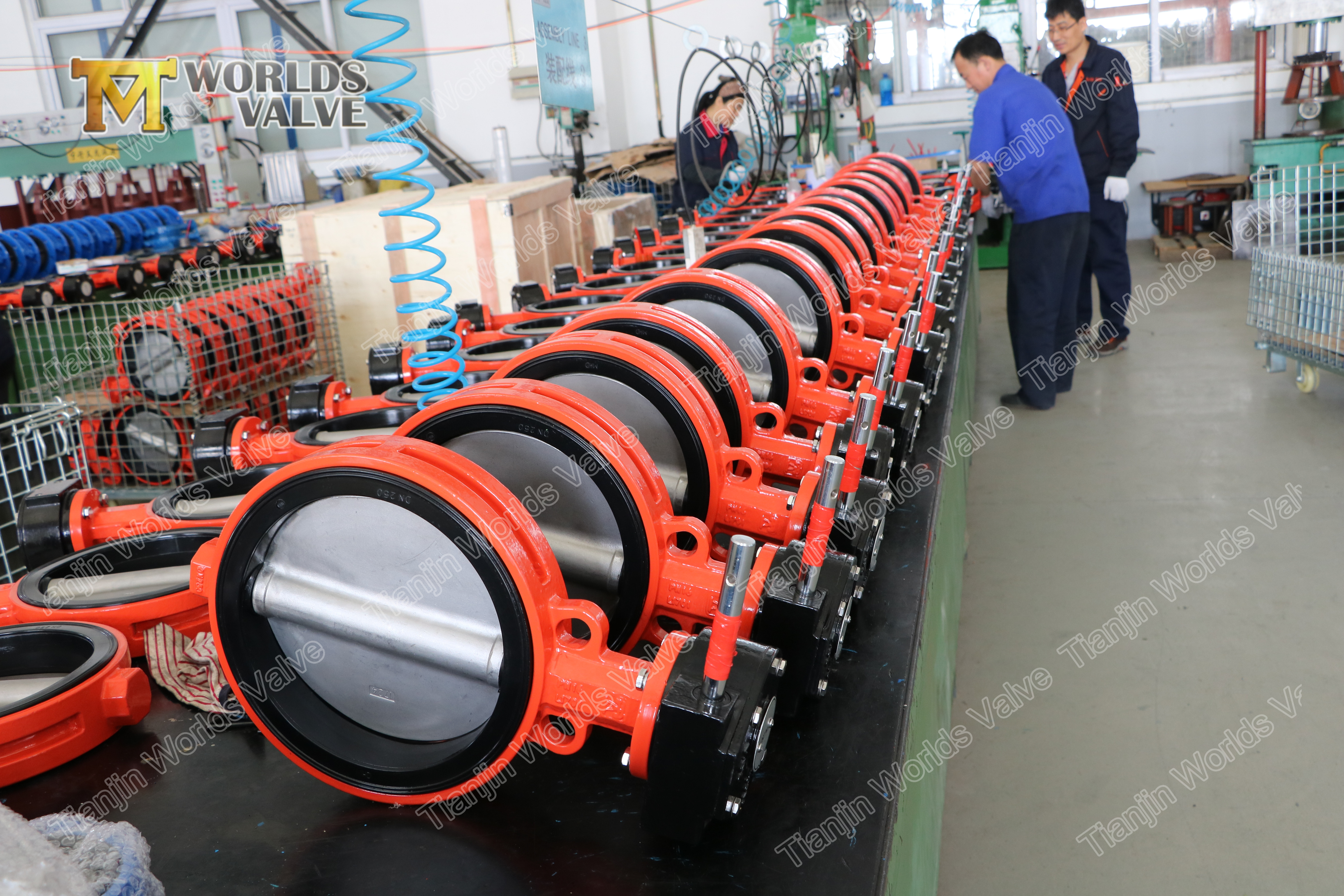 附图 2 Wafer Lug Type Concentric Butterfly Valve utan PIN