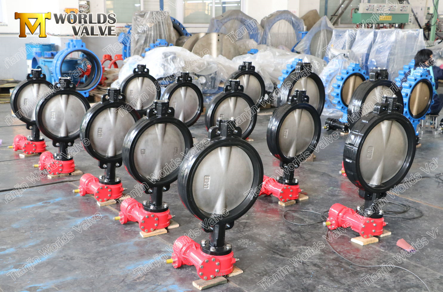 2 Wafer Lug Type Concentric Butterfly Valve utan PIN