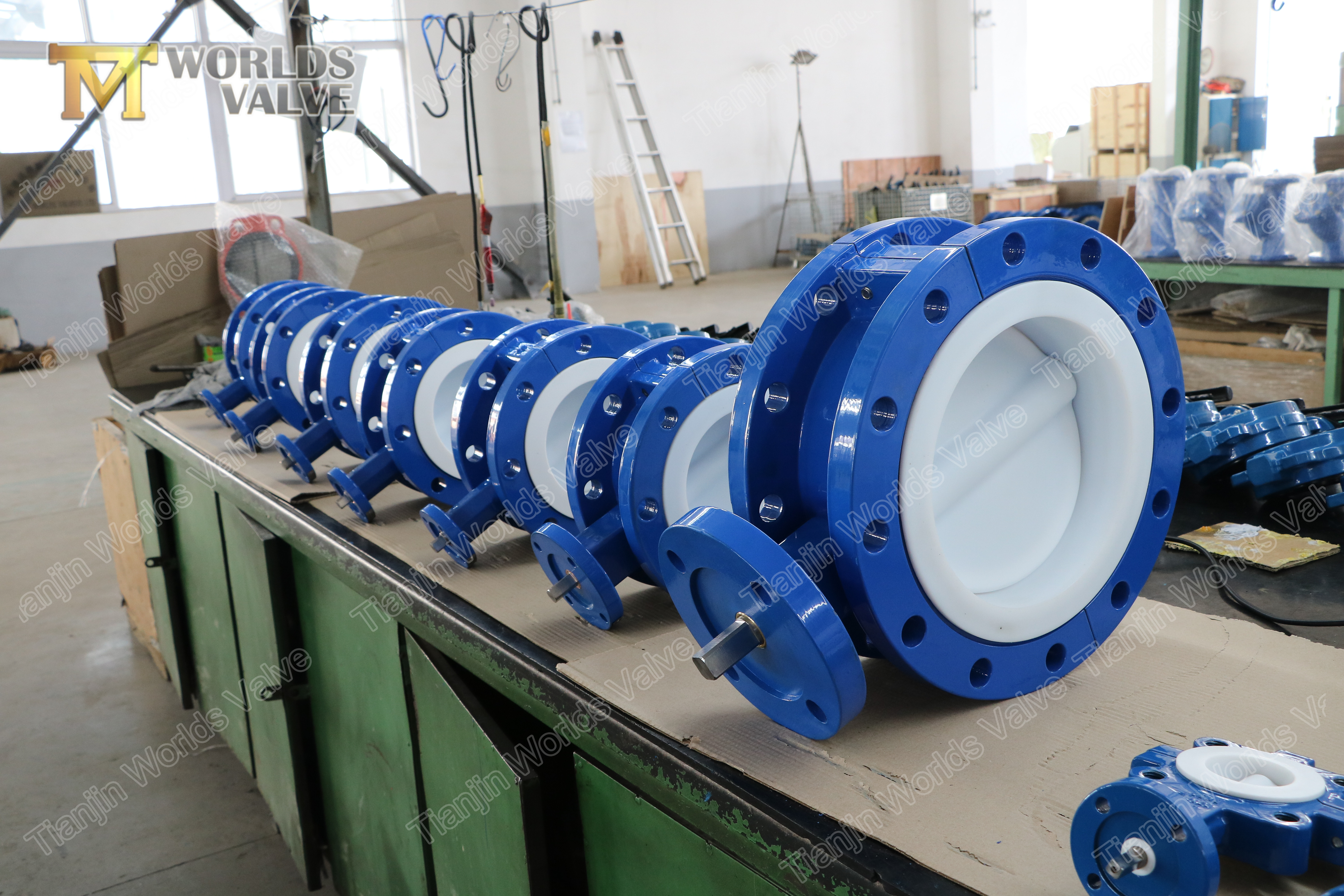 2 Full PTFE Foder FlangedButterfly Valve