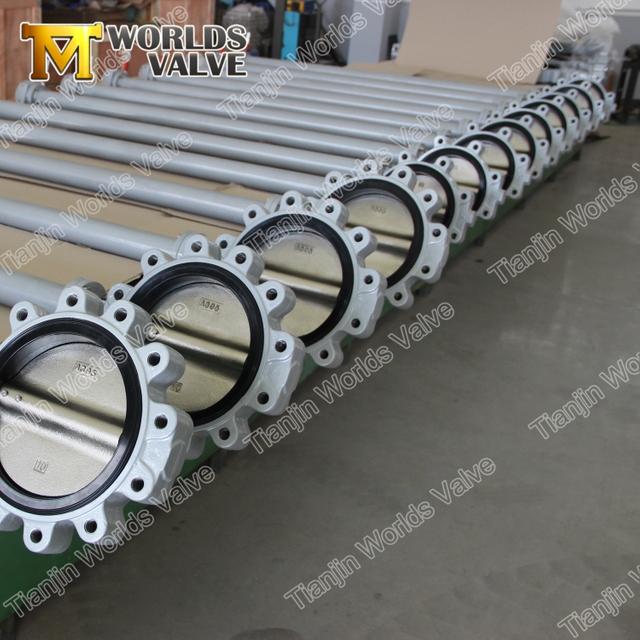 Godkvalitetstyp Gängad slutfjärilventil med lång / förlängd stam / axel