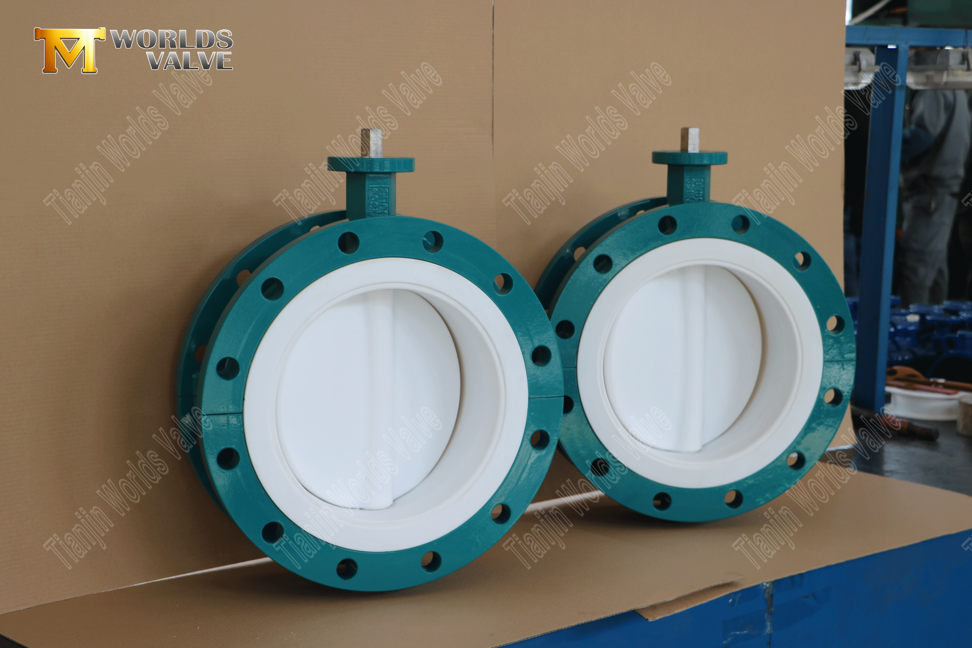 Worm Gear Double Flanged Ptfe Foderfj&auml;rilventiler (2)