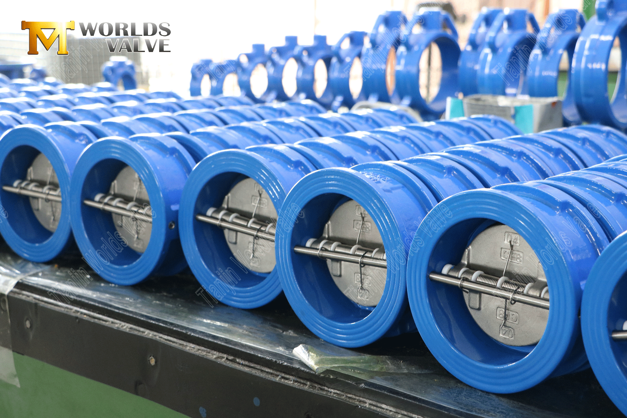 Kontrollventil med dubbla plattor med EPDM -s&auml;te och SS -skiva