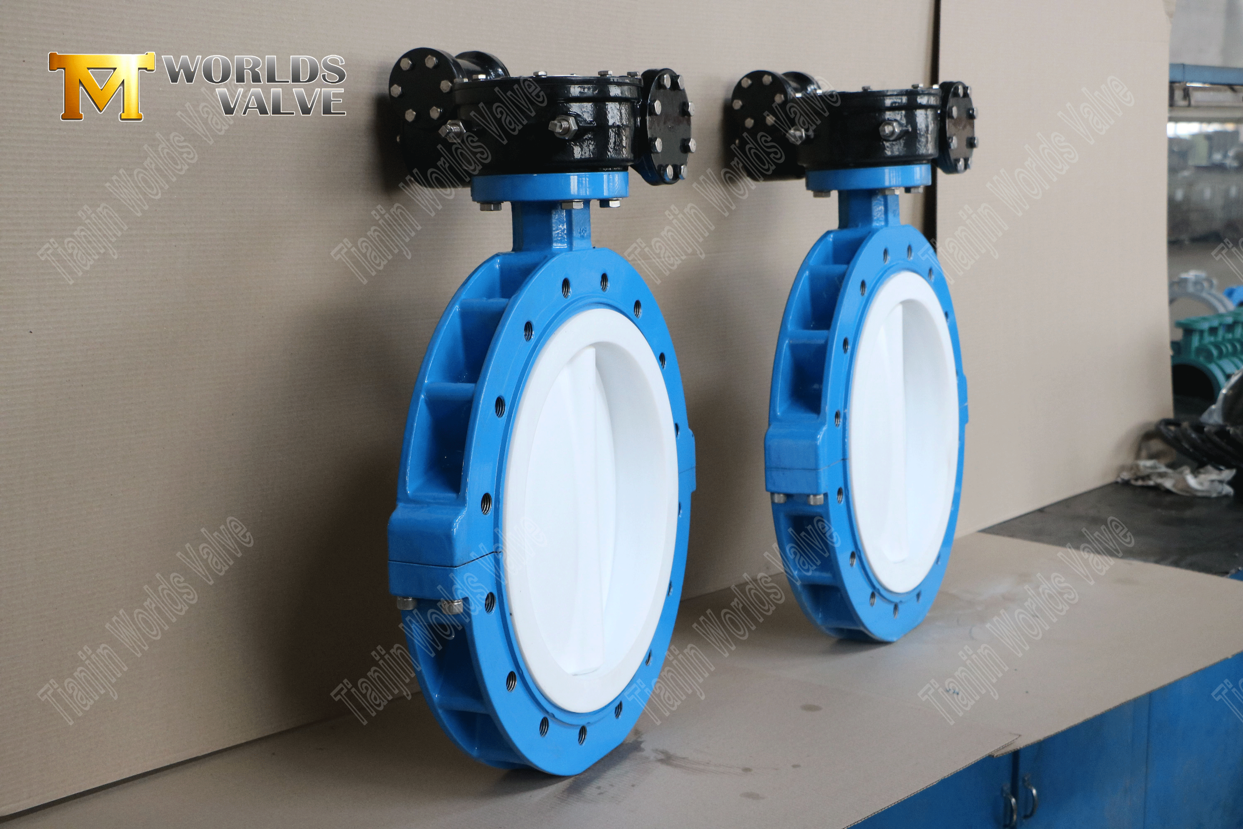 Butterfly Valve Manufacturer-Ptfe Fullfodrad LUG-typ Butterfly Valve (5)