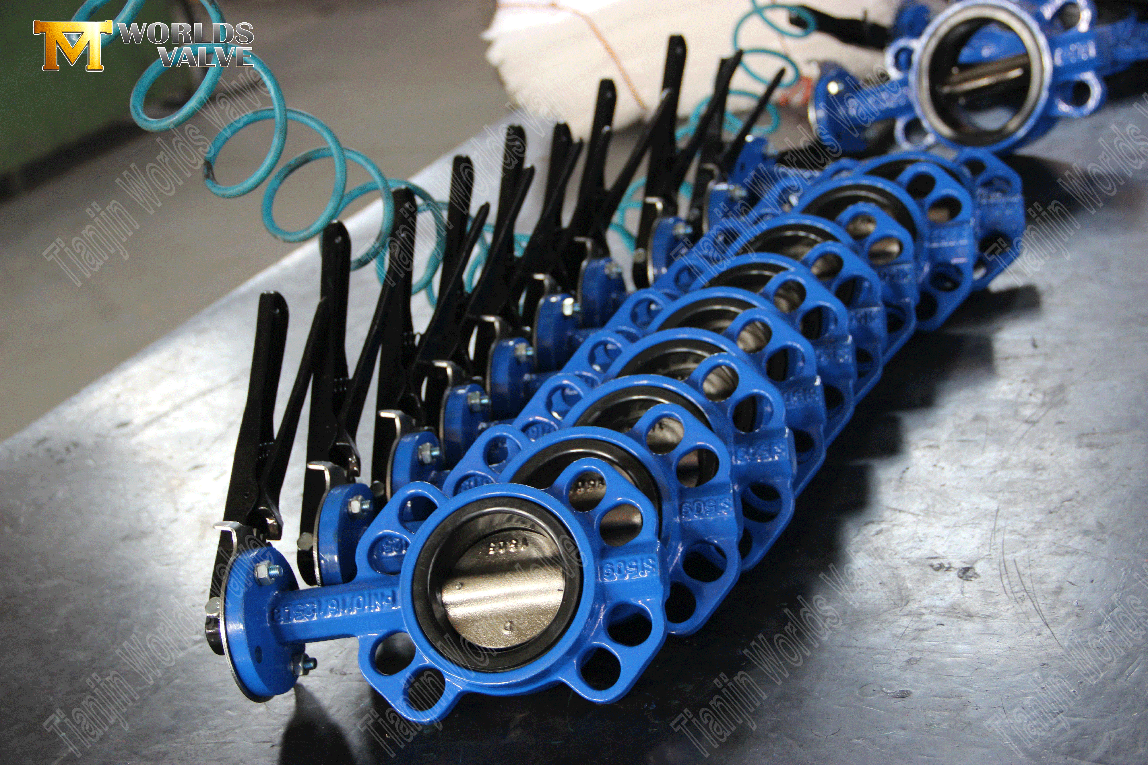 Worm Gear Operated Wafer Type Butterfly Ventiler med gummifodrad (10)