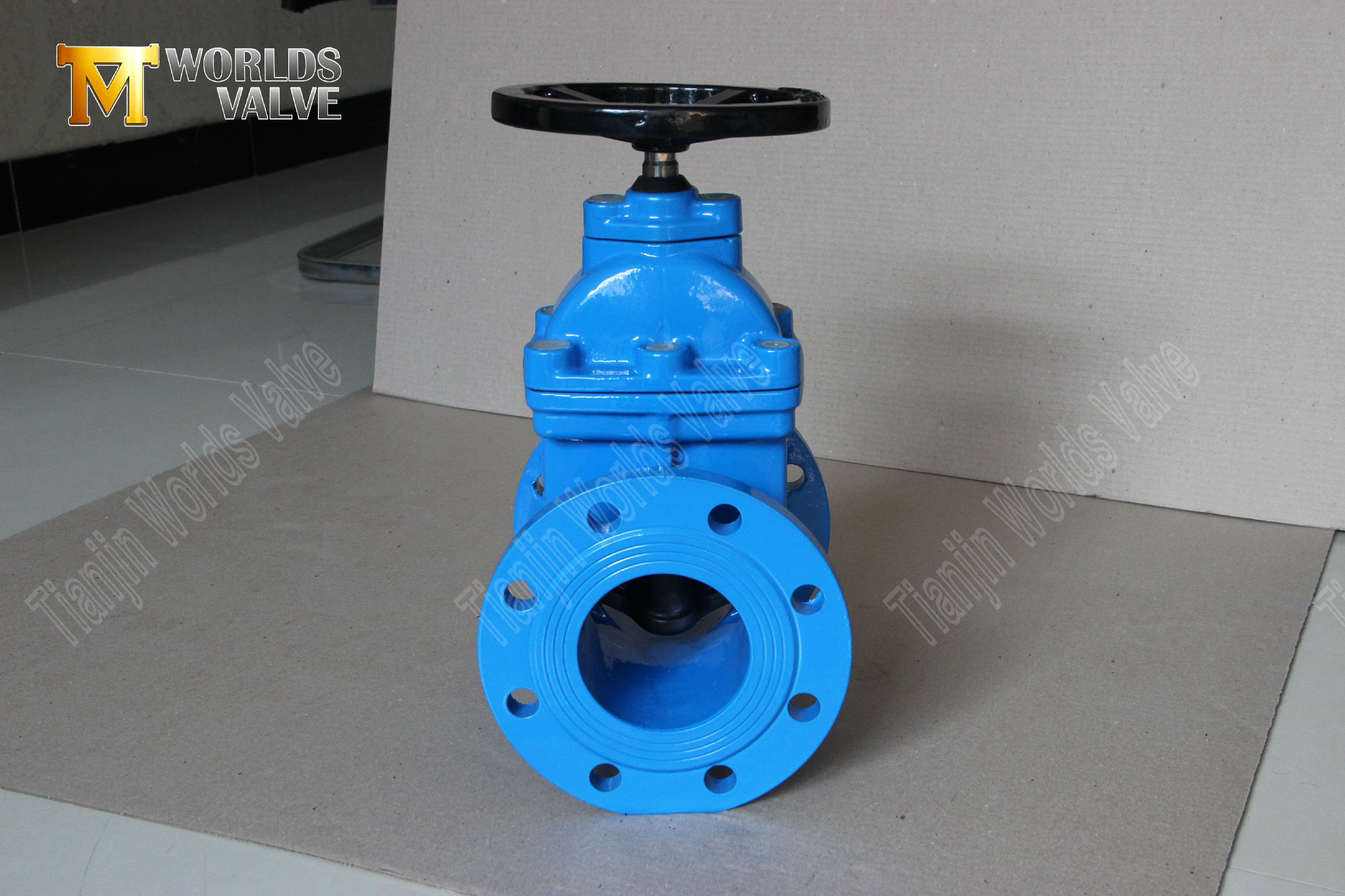 fj&auml;drande s&auml;te -grindventil med fl&auml;nsstyp