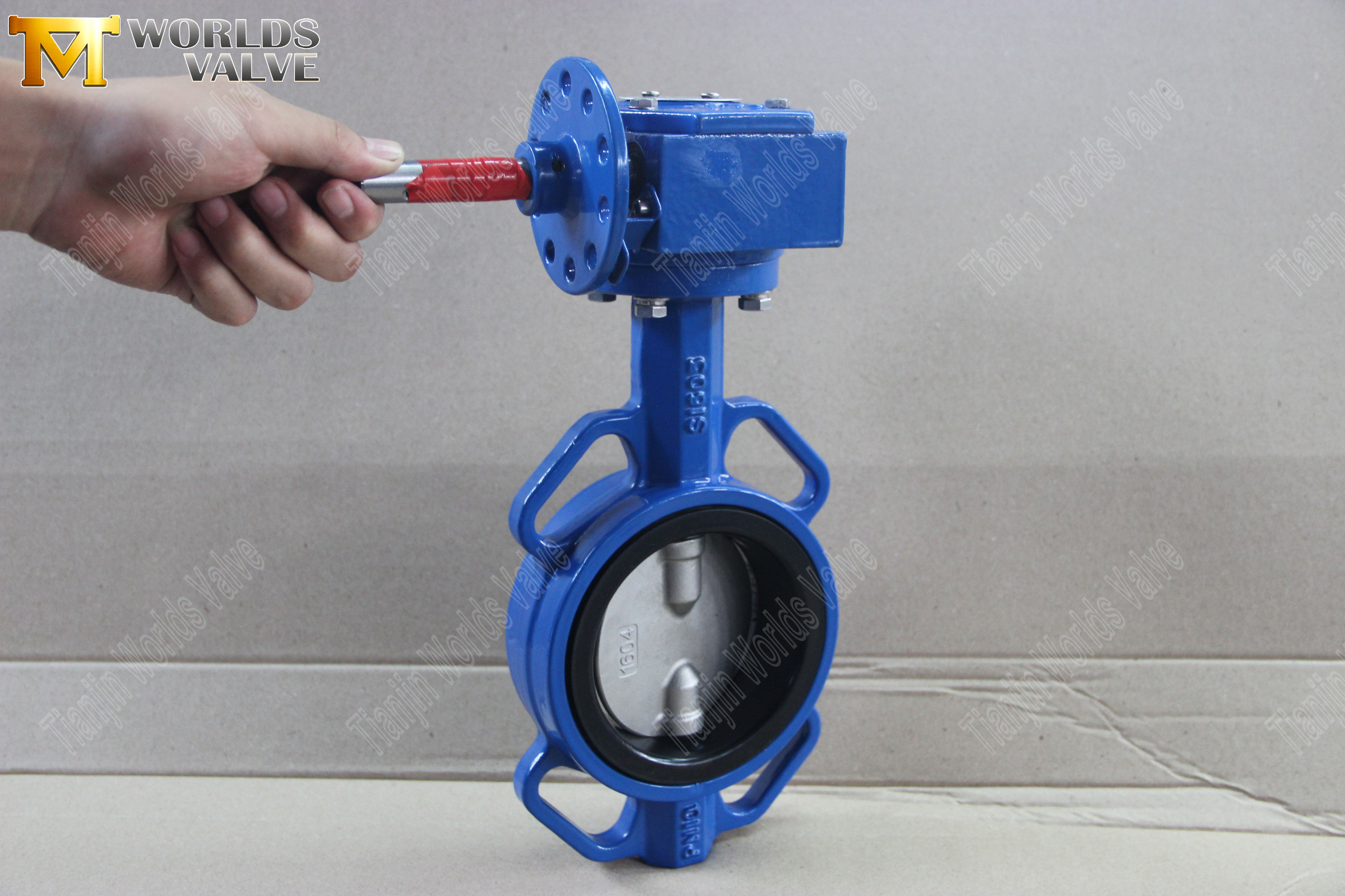 Wafer Butterfly Valve med Worm Gear Operator (1)