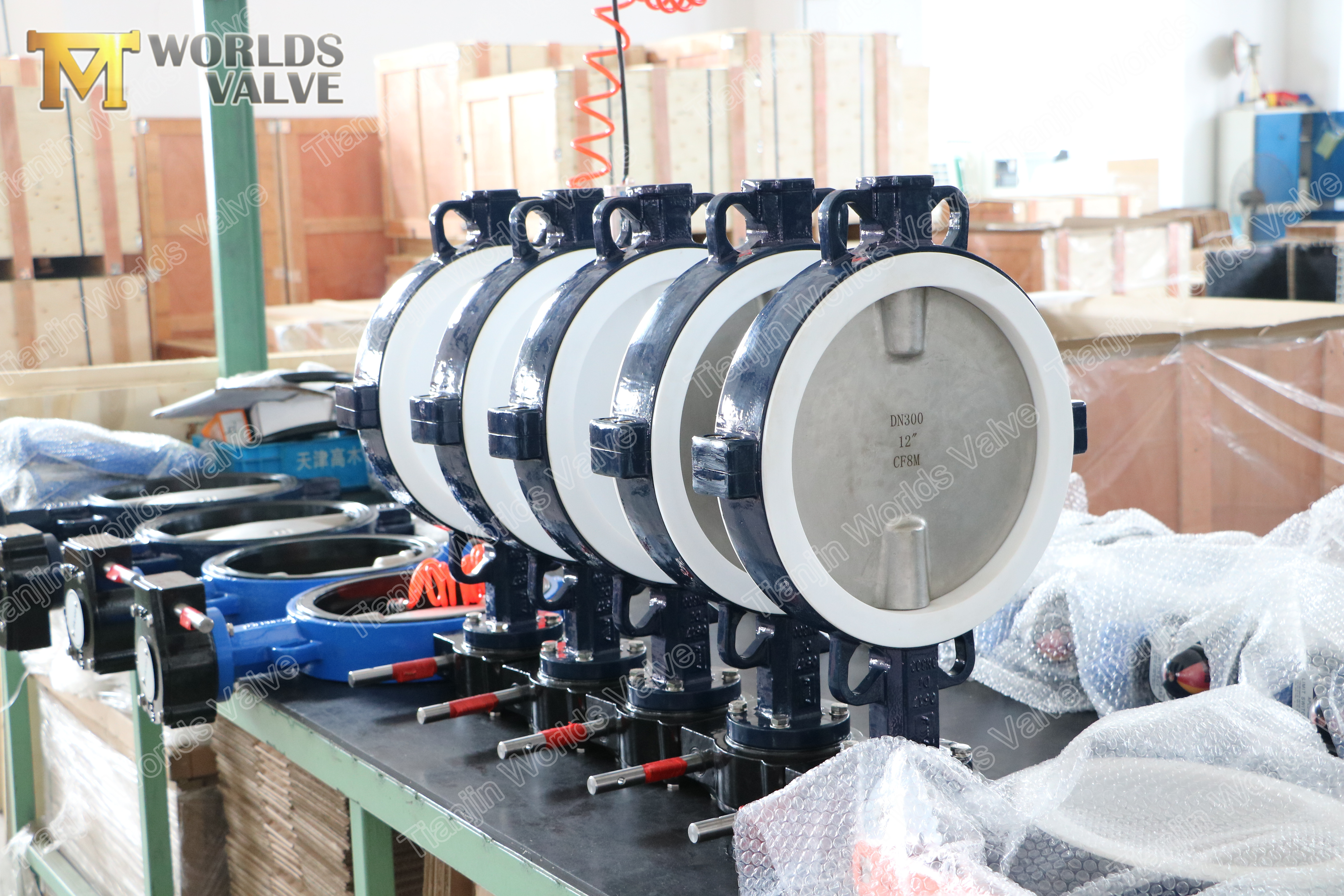 3 A536 A395 Ductile Iron PTFE Butterfly Valve